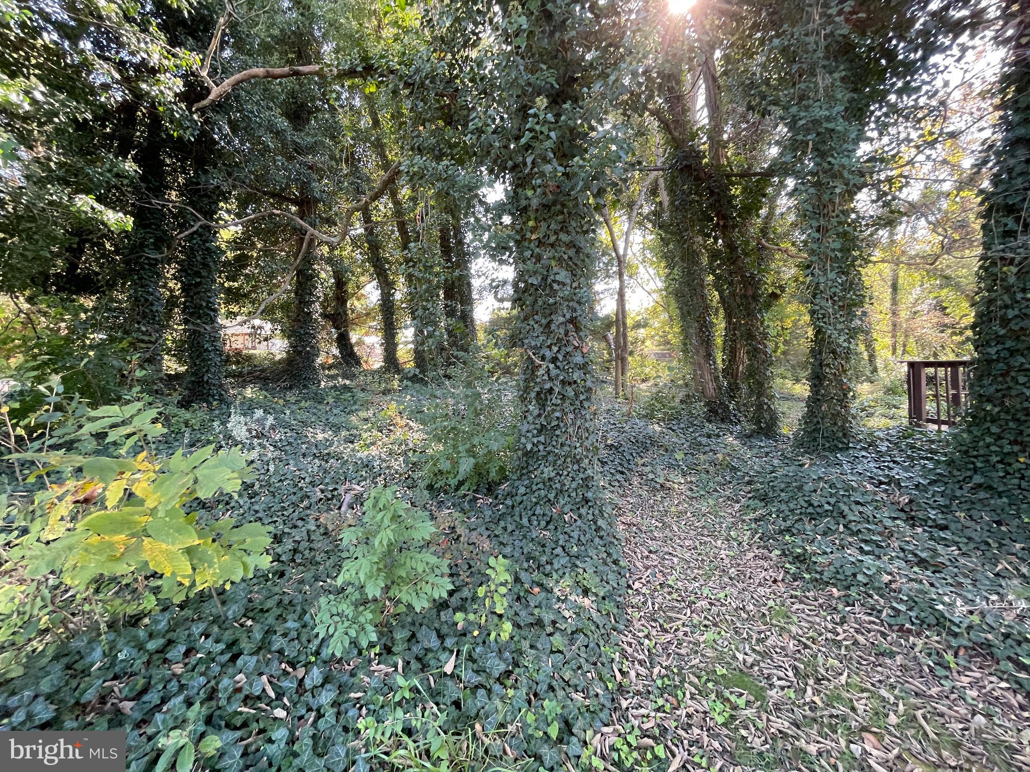 ANTIETAM MANOR - Residential