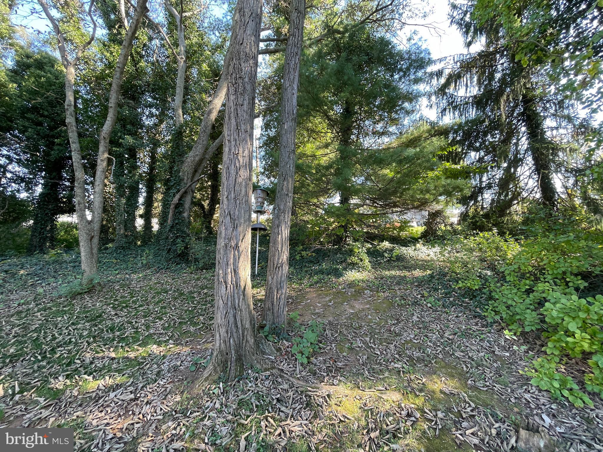 ANTIETAM MANOR - Residential