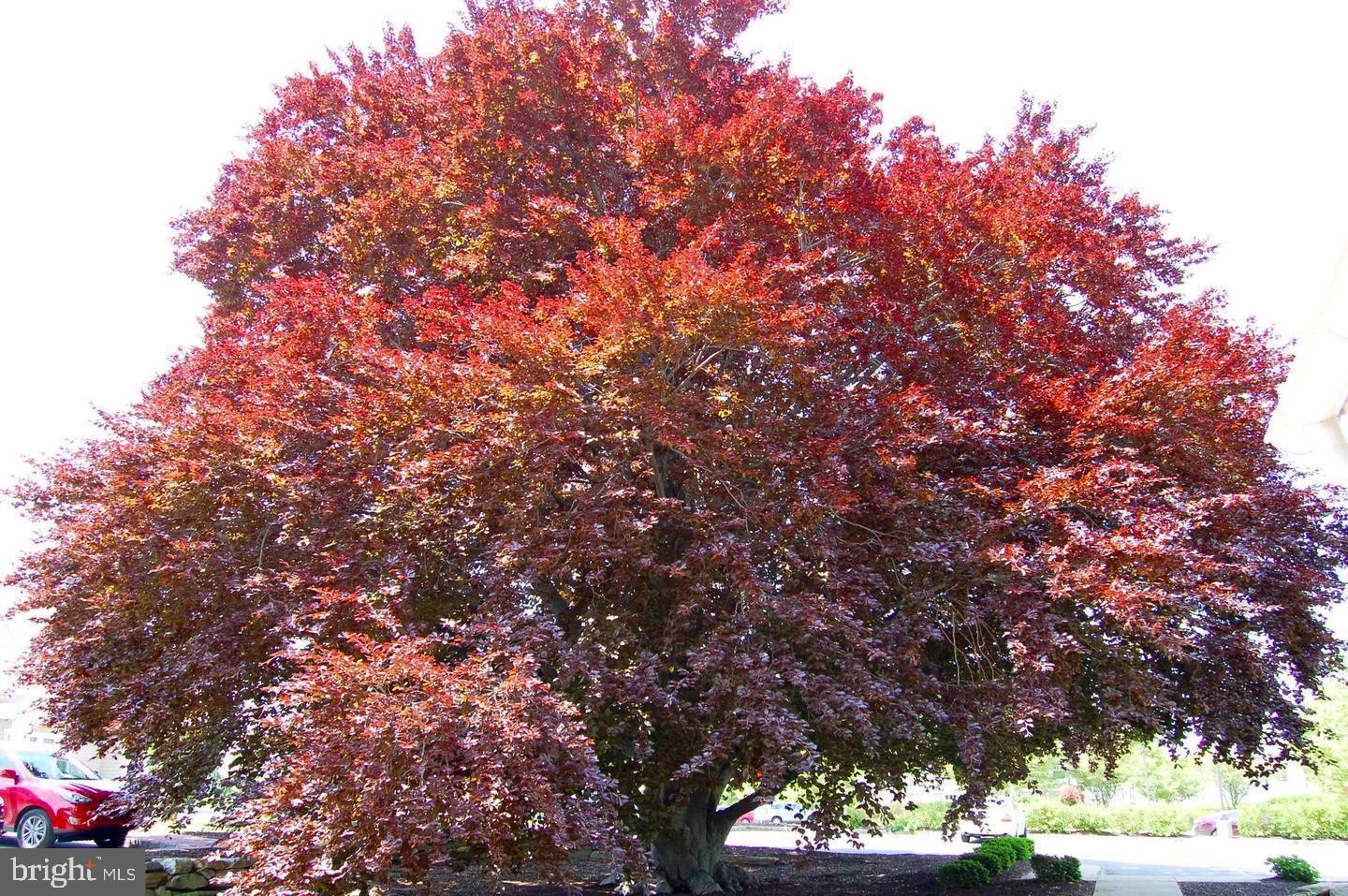 VILLAGES AT HILLVIEW - Residential