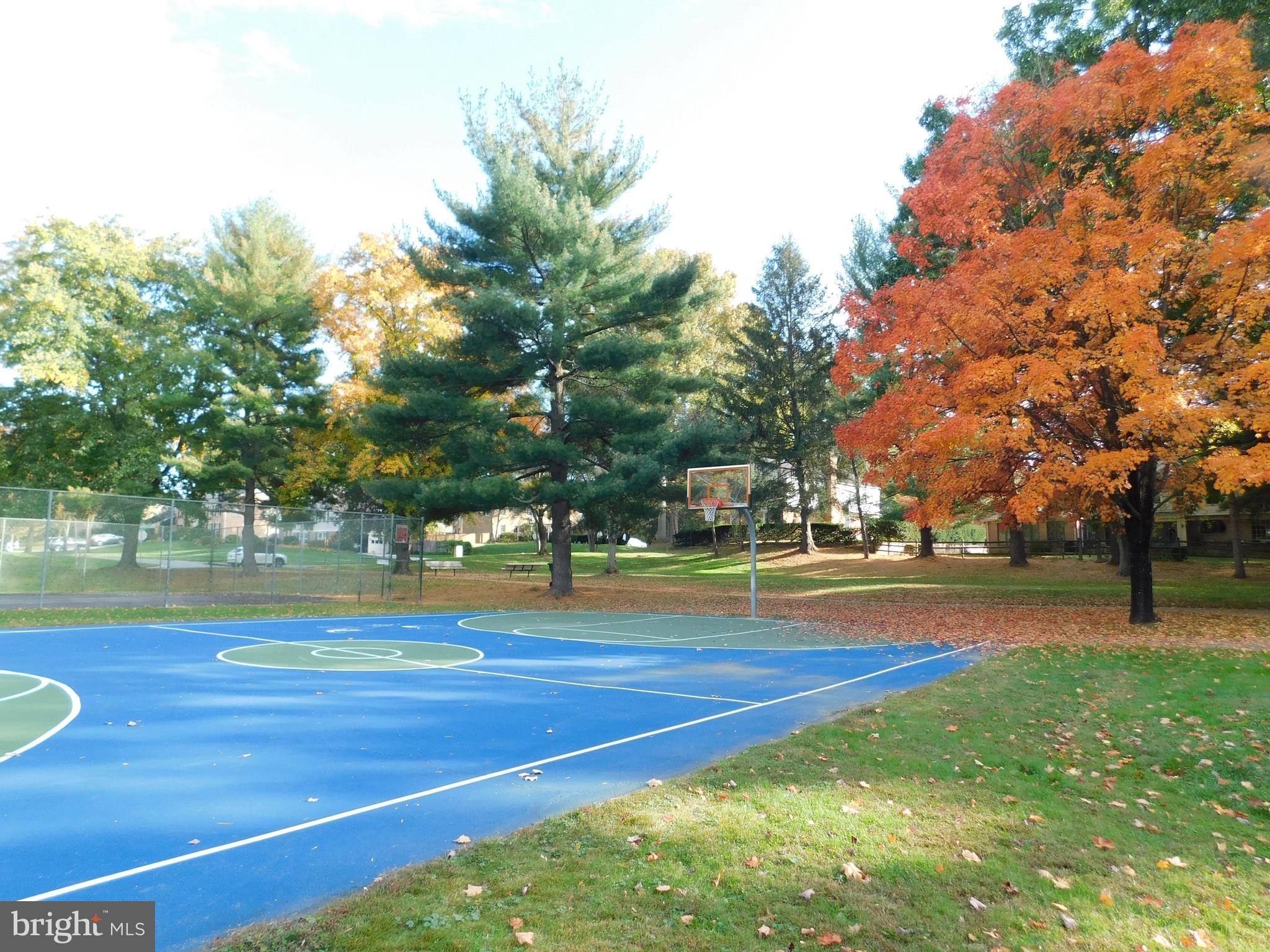 POTOMAC COMMONS - Residential