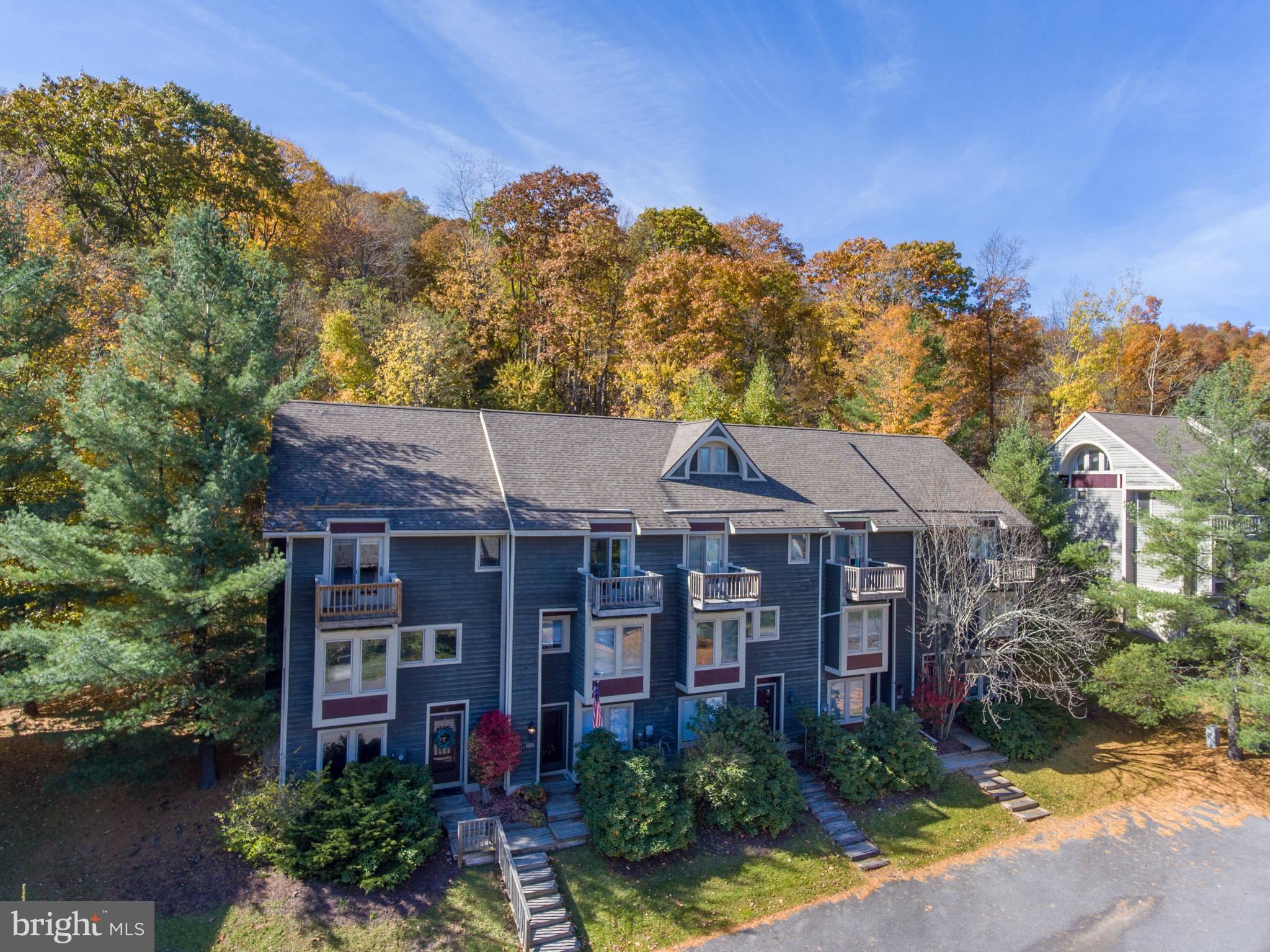 VILLAGES OF WISP - Residential