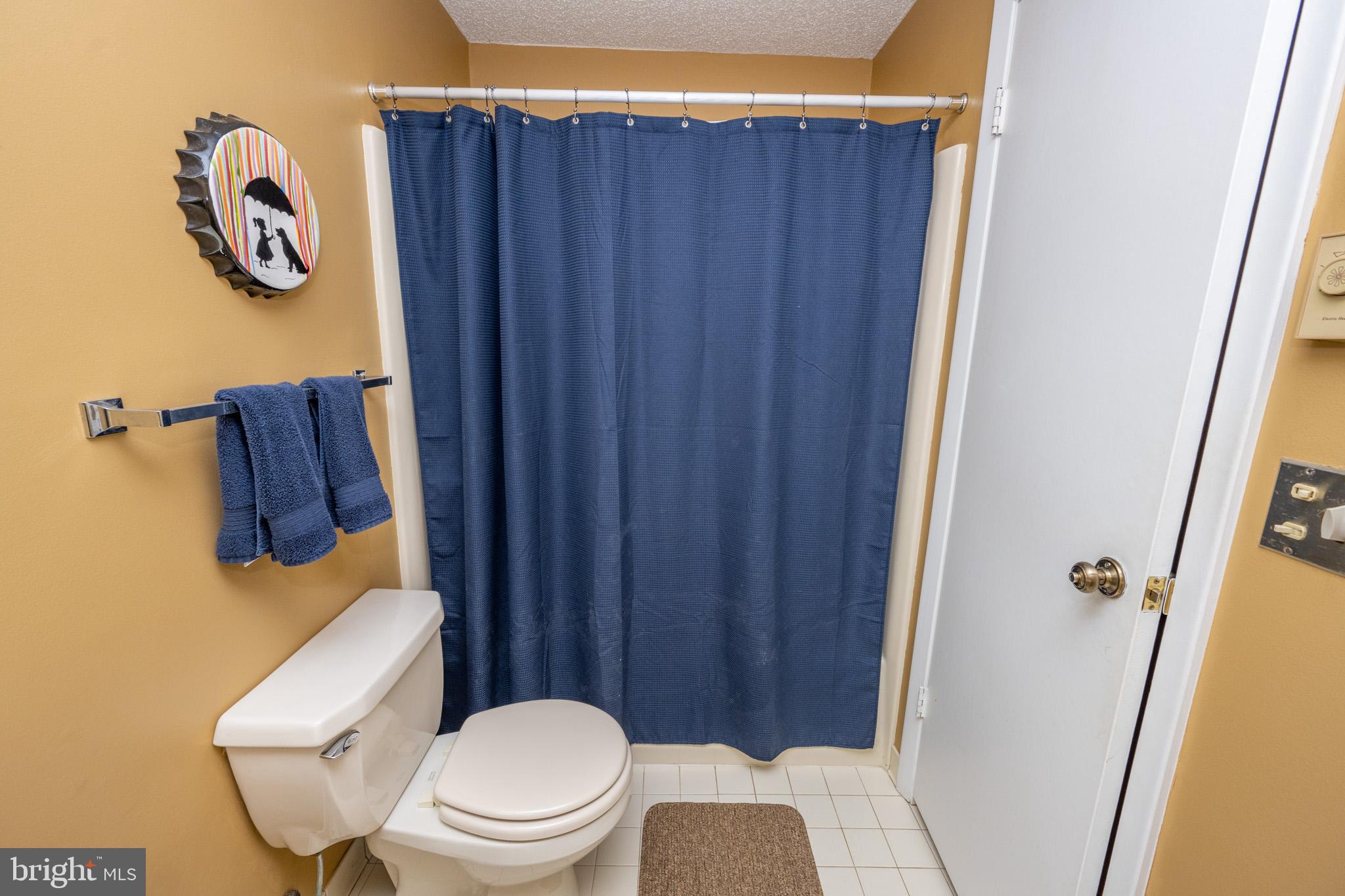 VILLAGES OF WISP - Residential