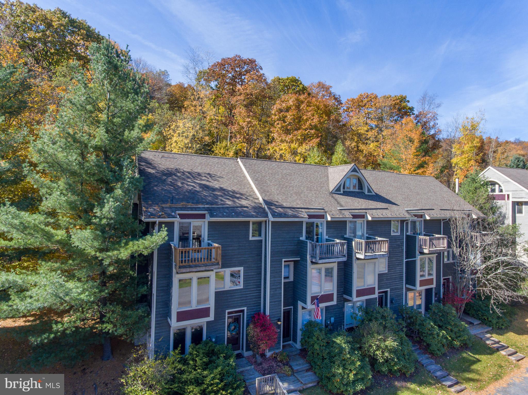 VILLAGES OF WISP - Residential