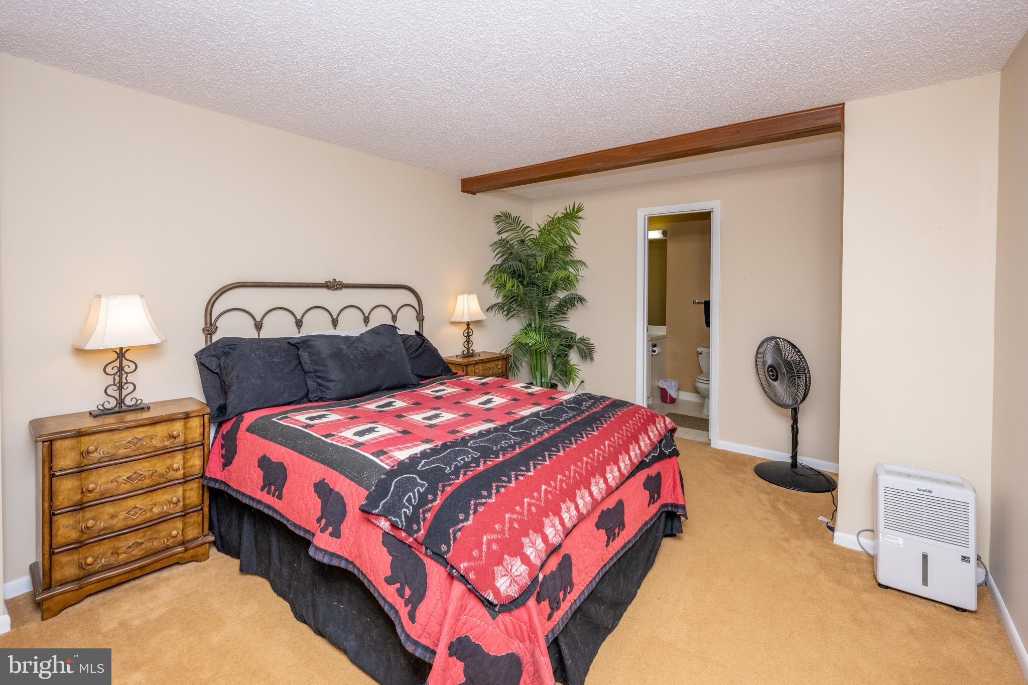 VILLAGES OF WISP - Residential