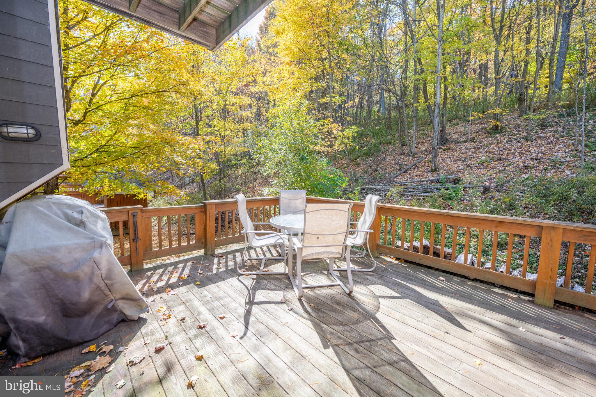 VILLAGES OF WISP - Residential