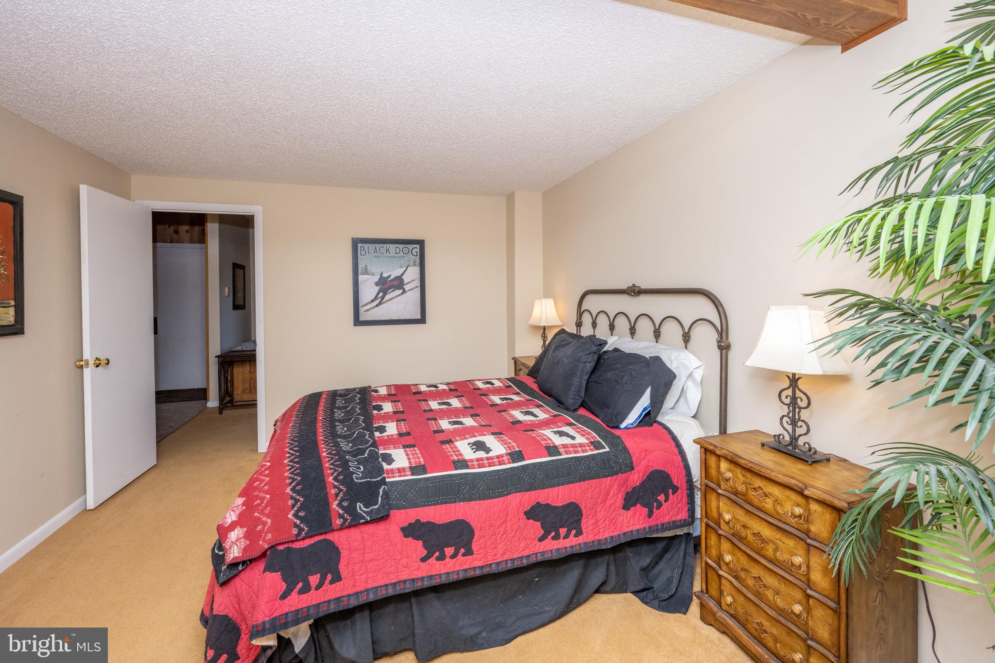 VILLAGES OF WISP - Residential