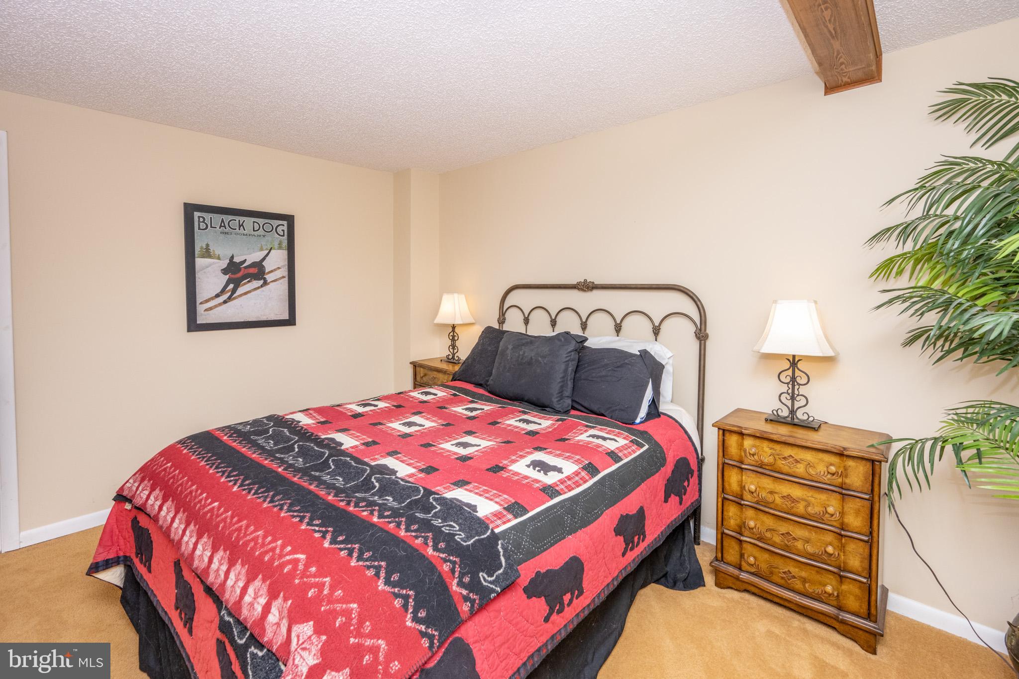 VILLAGES OF WISP - Residential