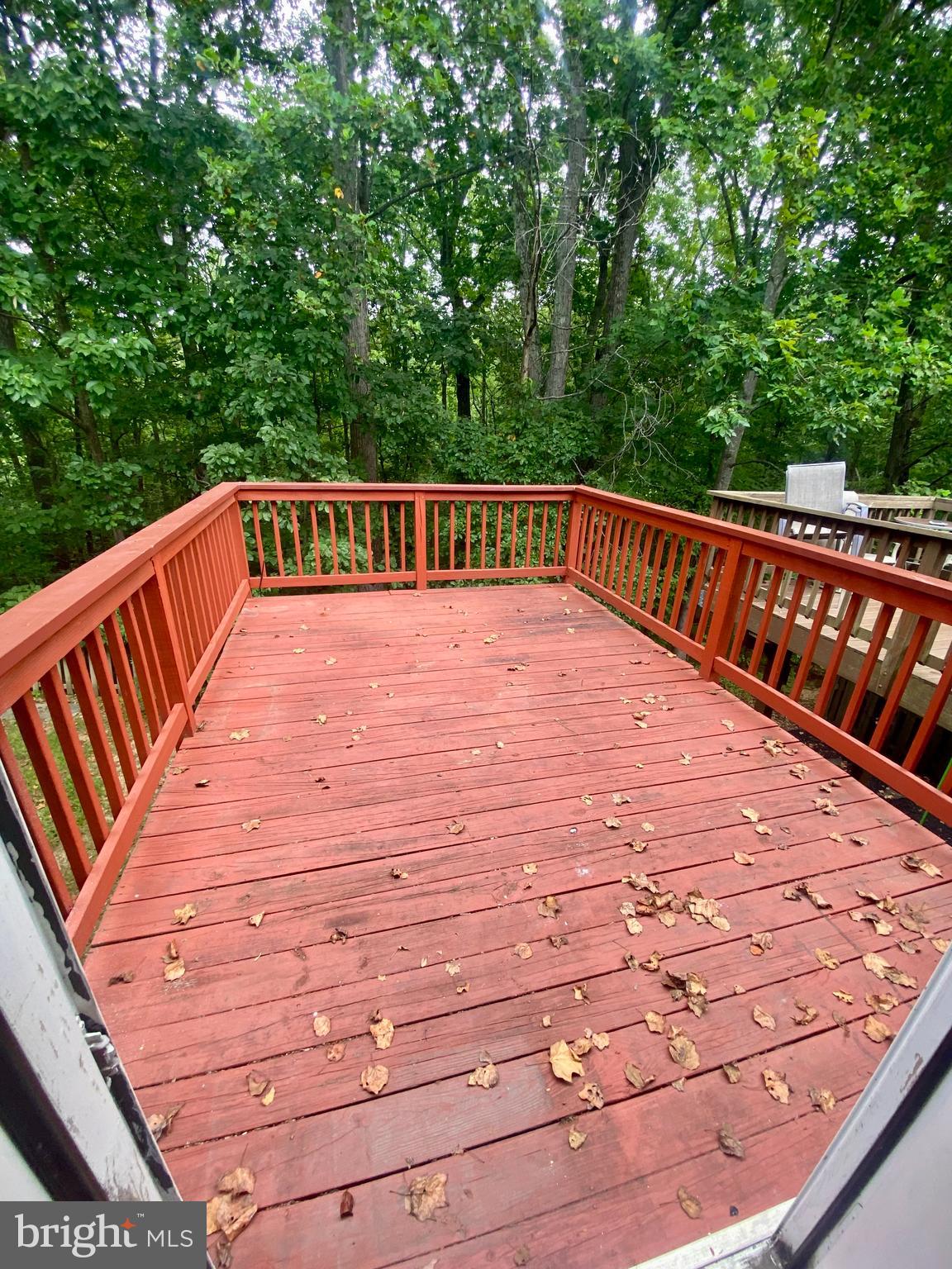 DOMINION FOREST - Residential Lease