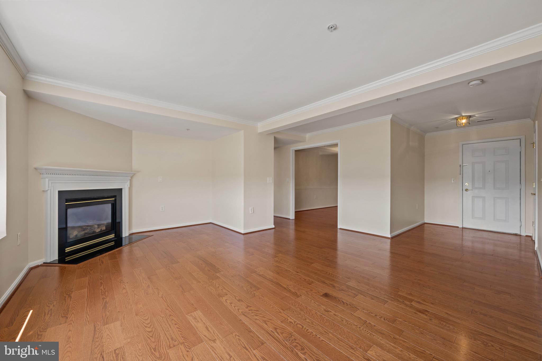 12236 ROUNDWOOD ROAD 703