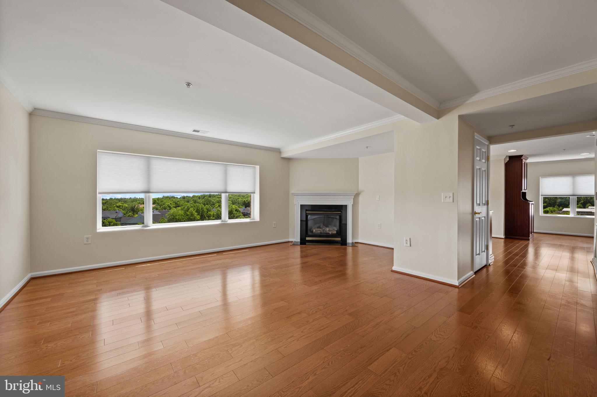 12236 ROUNDWOOD ROAD 703