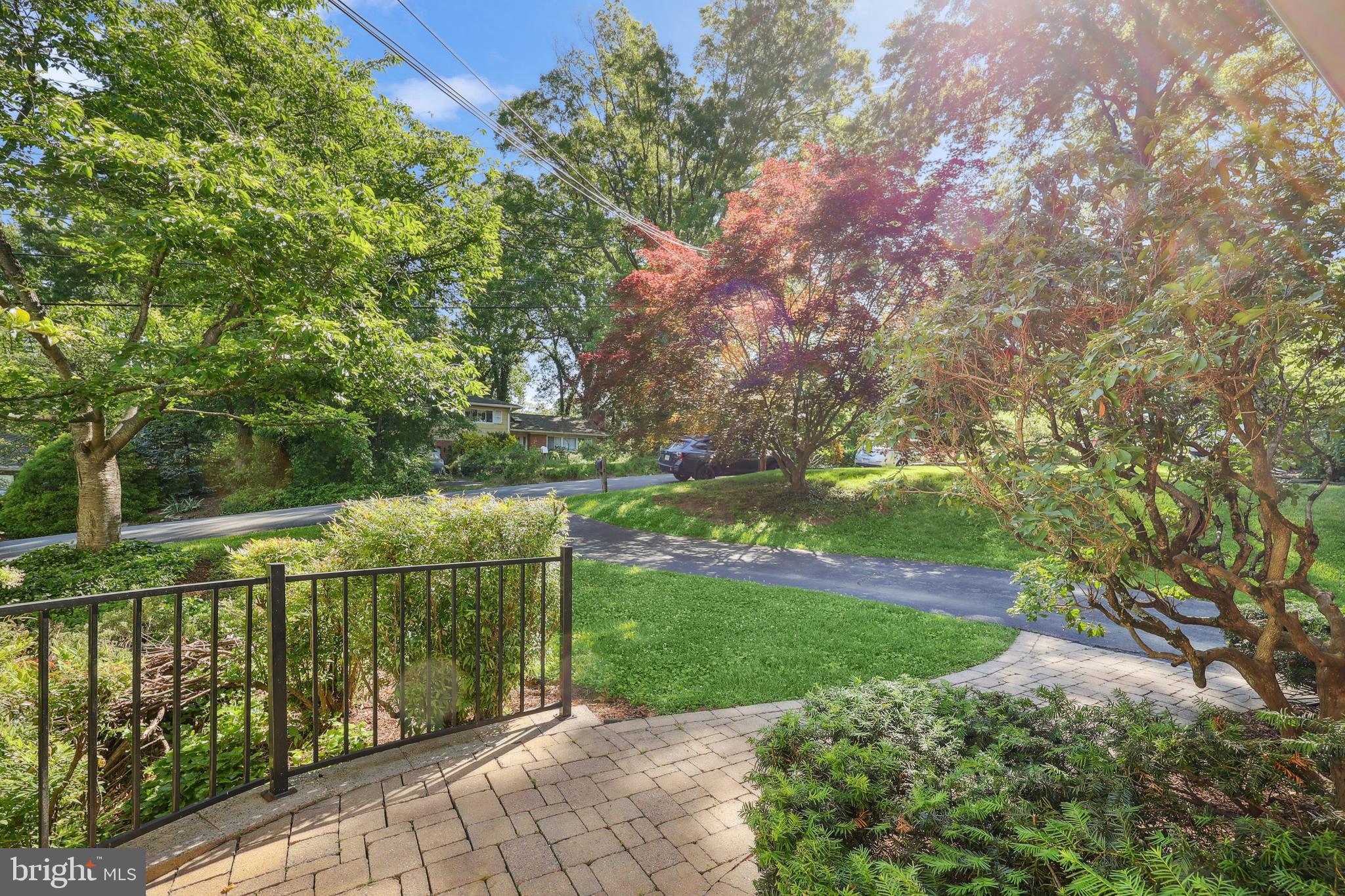 1113 CAMERON ROAD