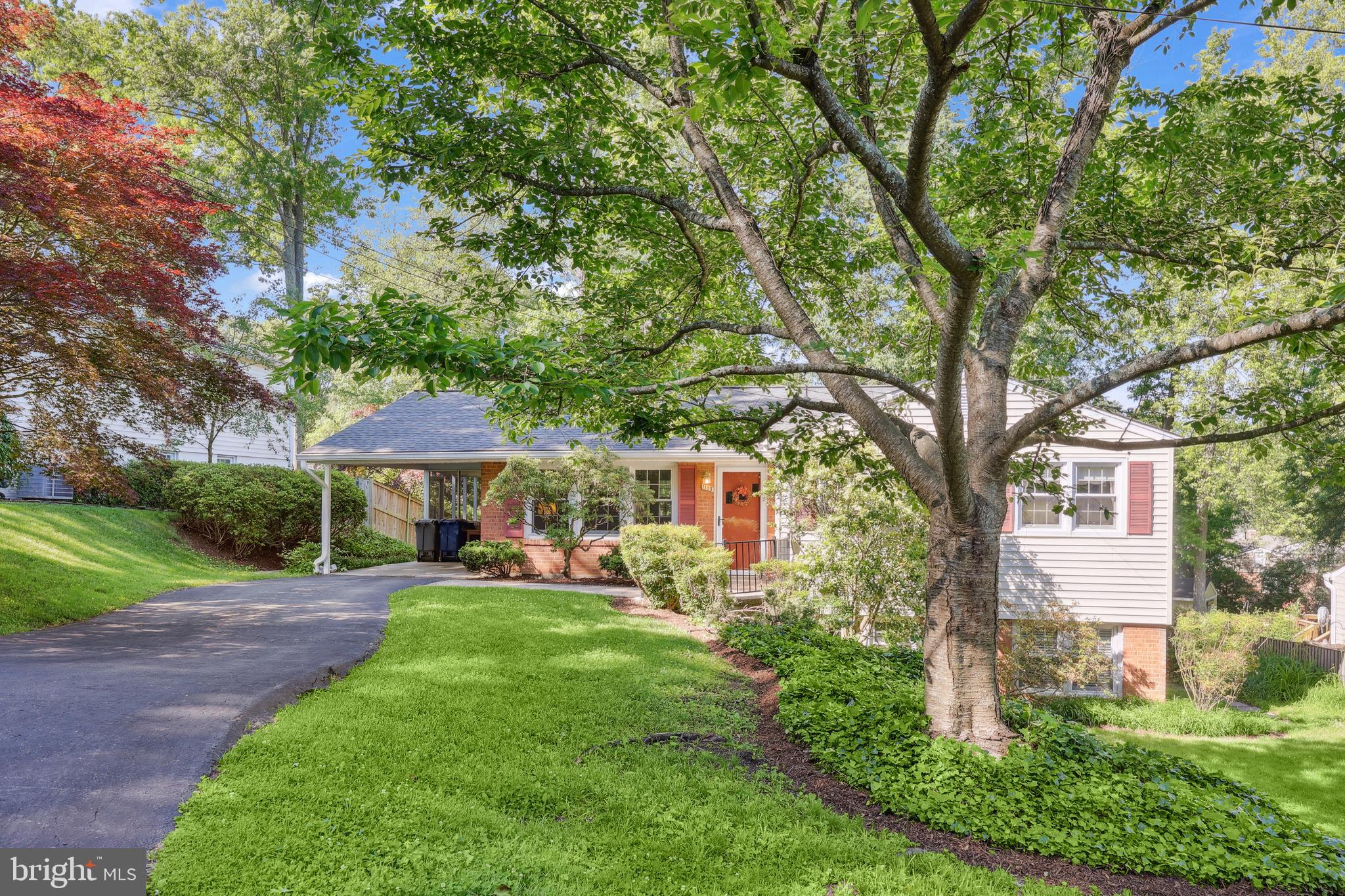 1113 CAMERON ROAD