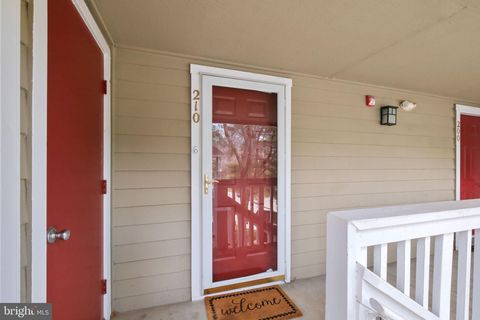 listing image 66