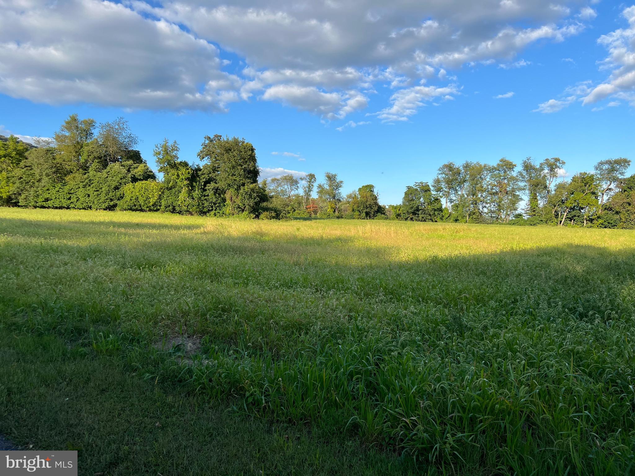 317 MACHAMER ROAD - LOT #2