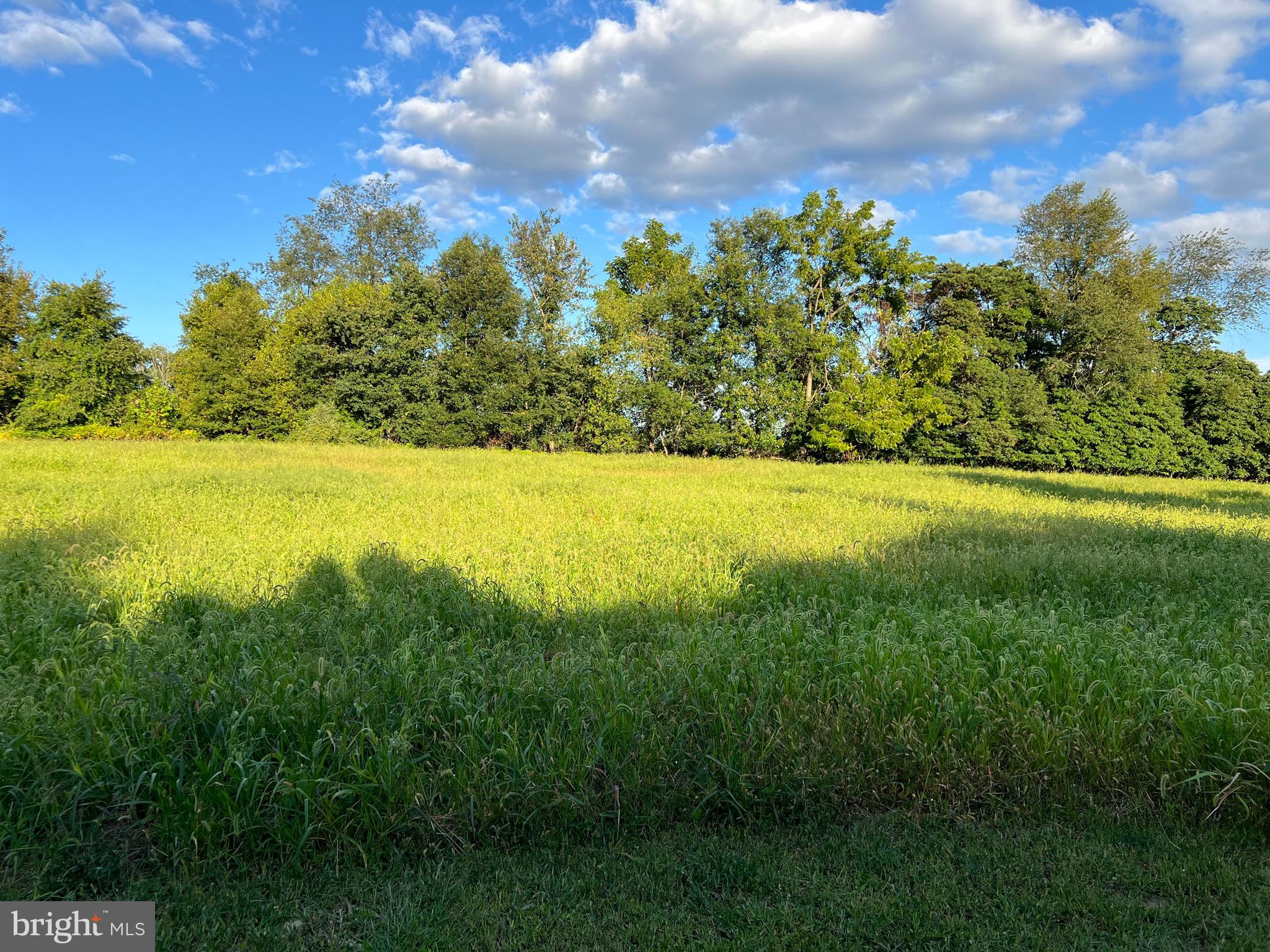 317 MACHAMER ROAD - LOT #2