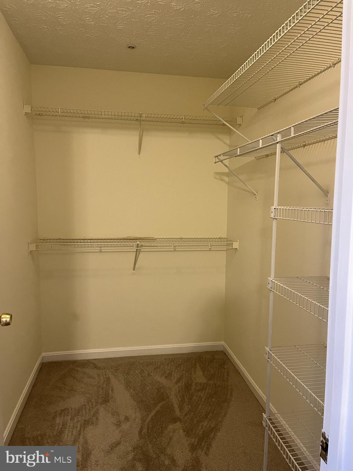 WINGATE - Residential Lease