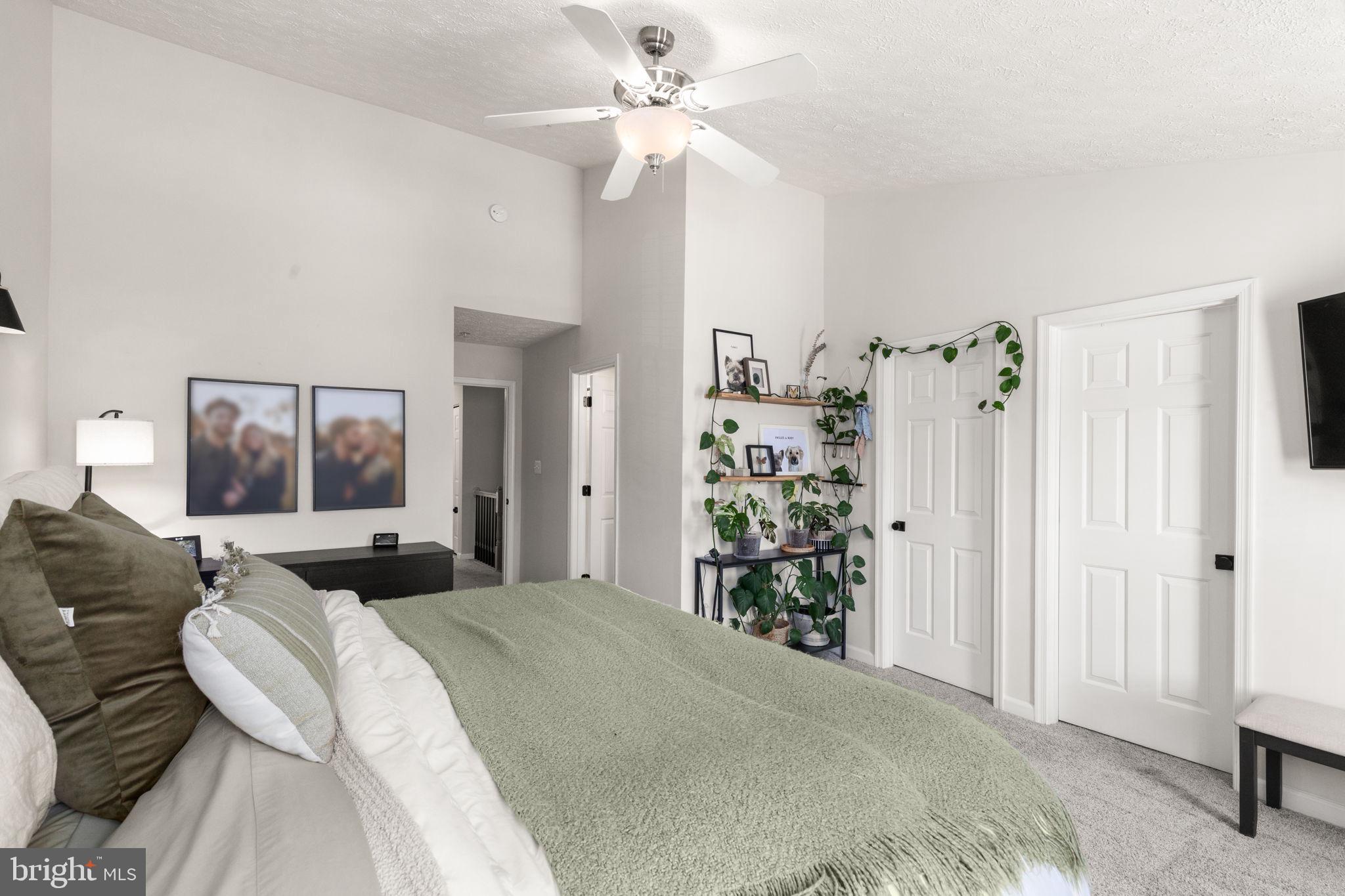 CYPRESS HILLS - Residential