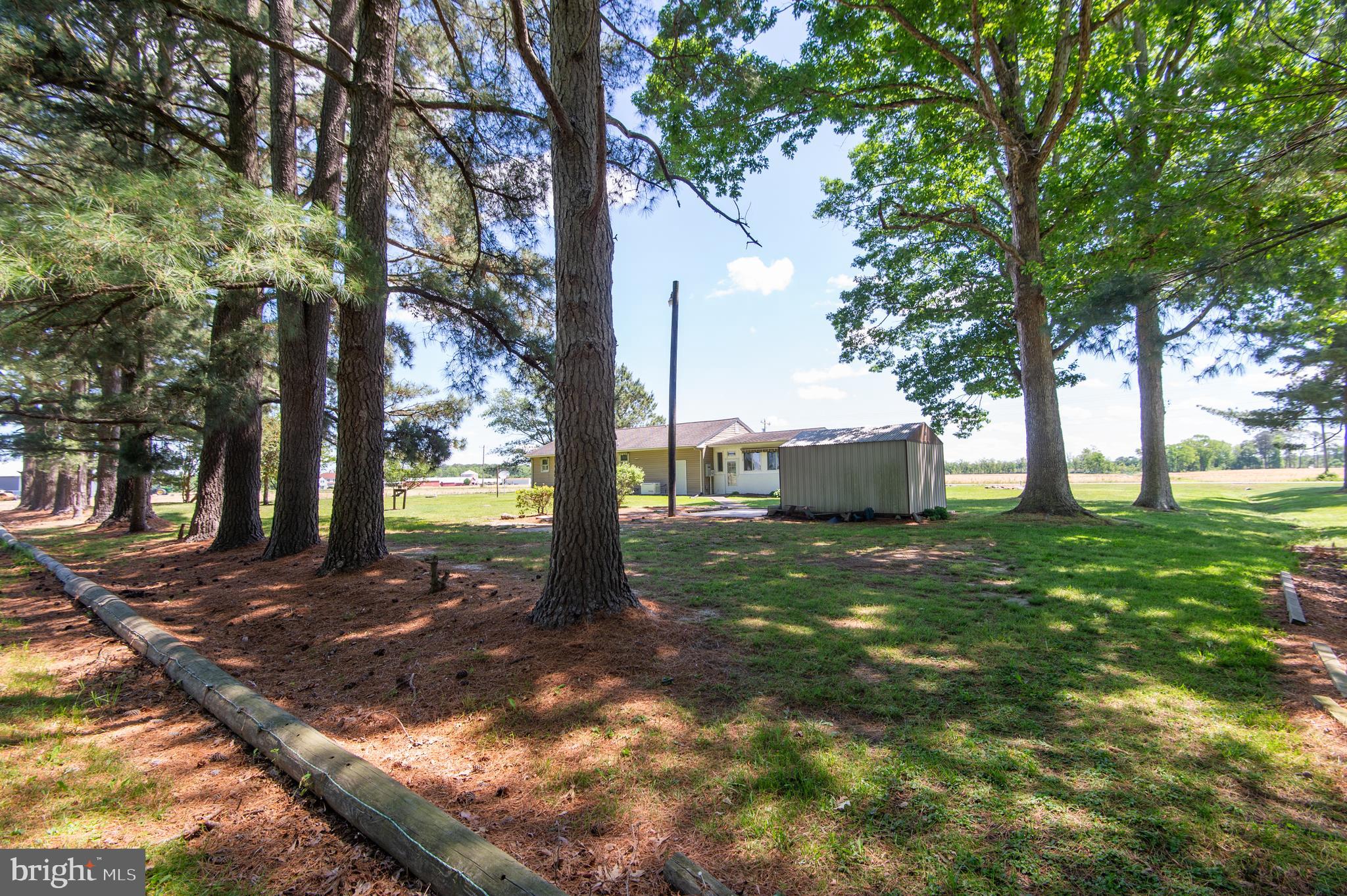 CAMBRIDGE - Residential