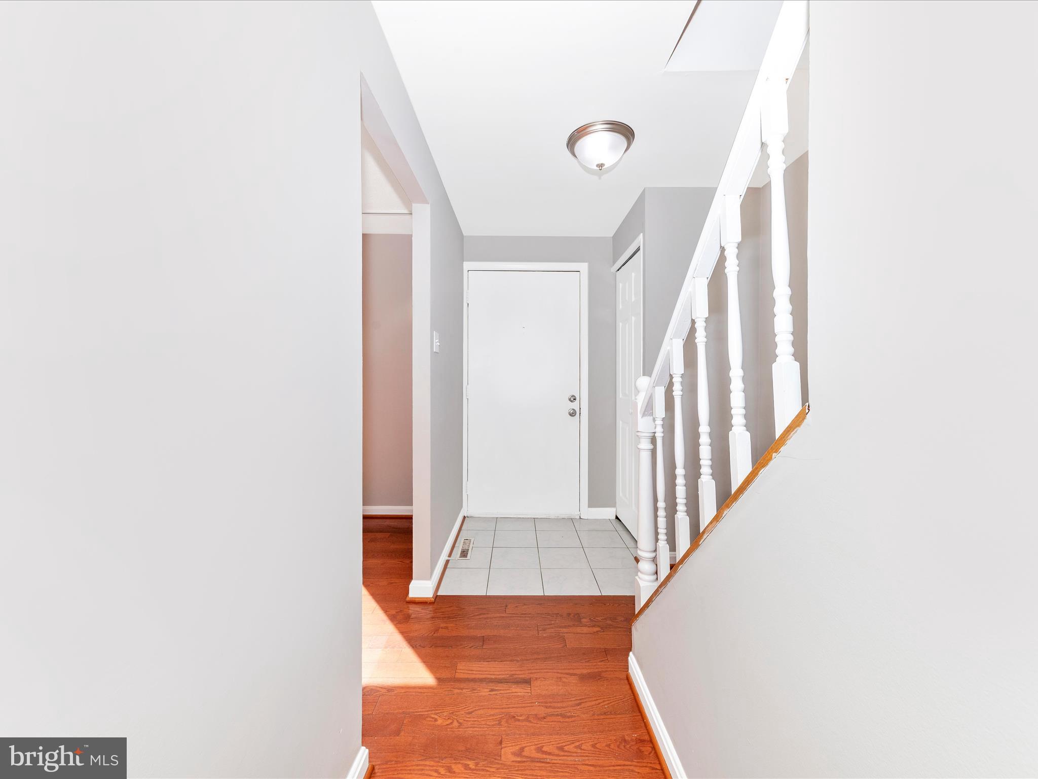 6596 SWEET FERN