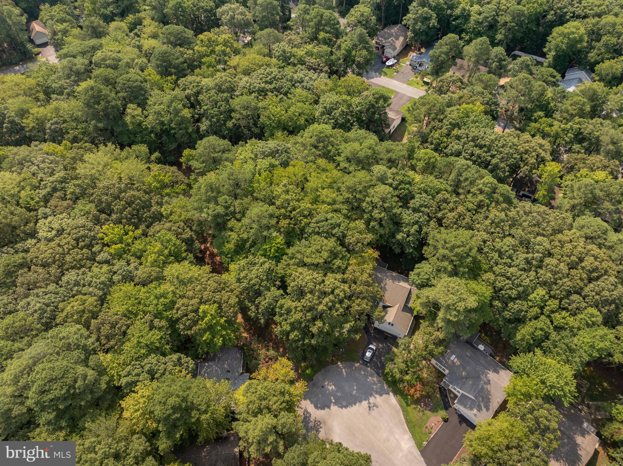 24 SASSAFRAS LANE