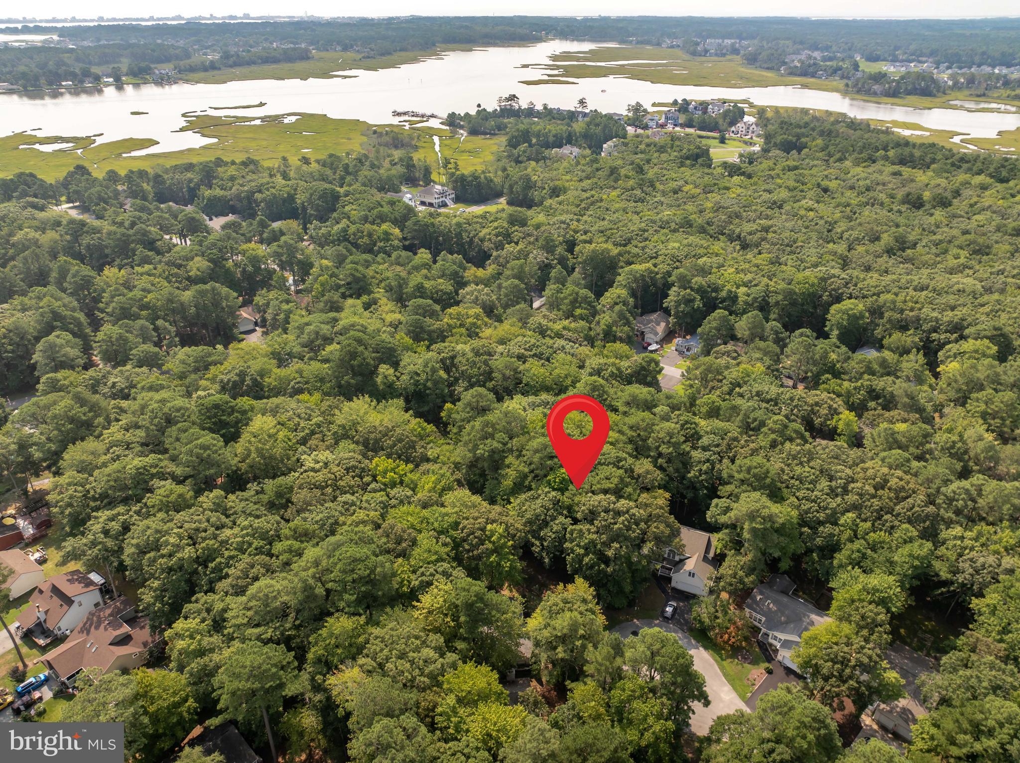 24 SASSAFRAS LANE