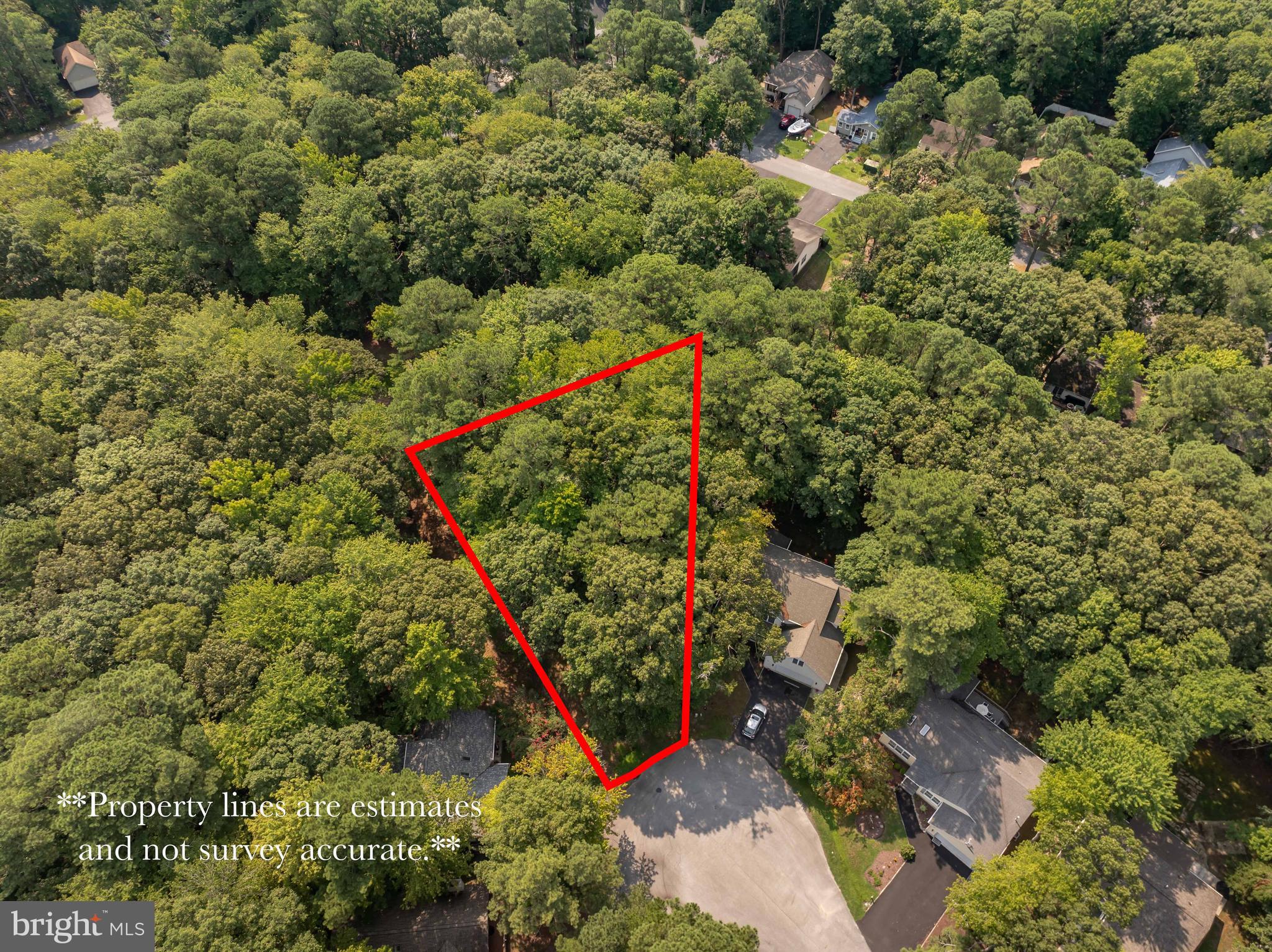 24 SASSAFRAS LANE