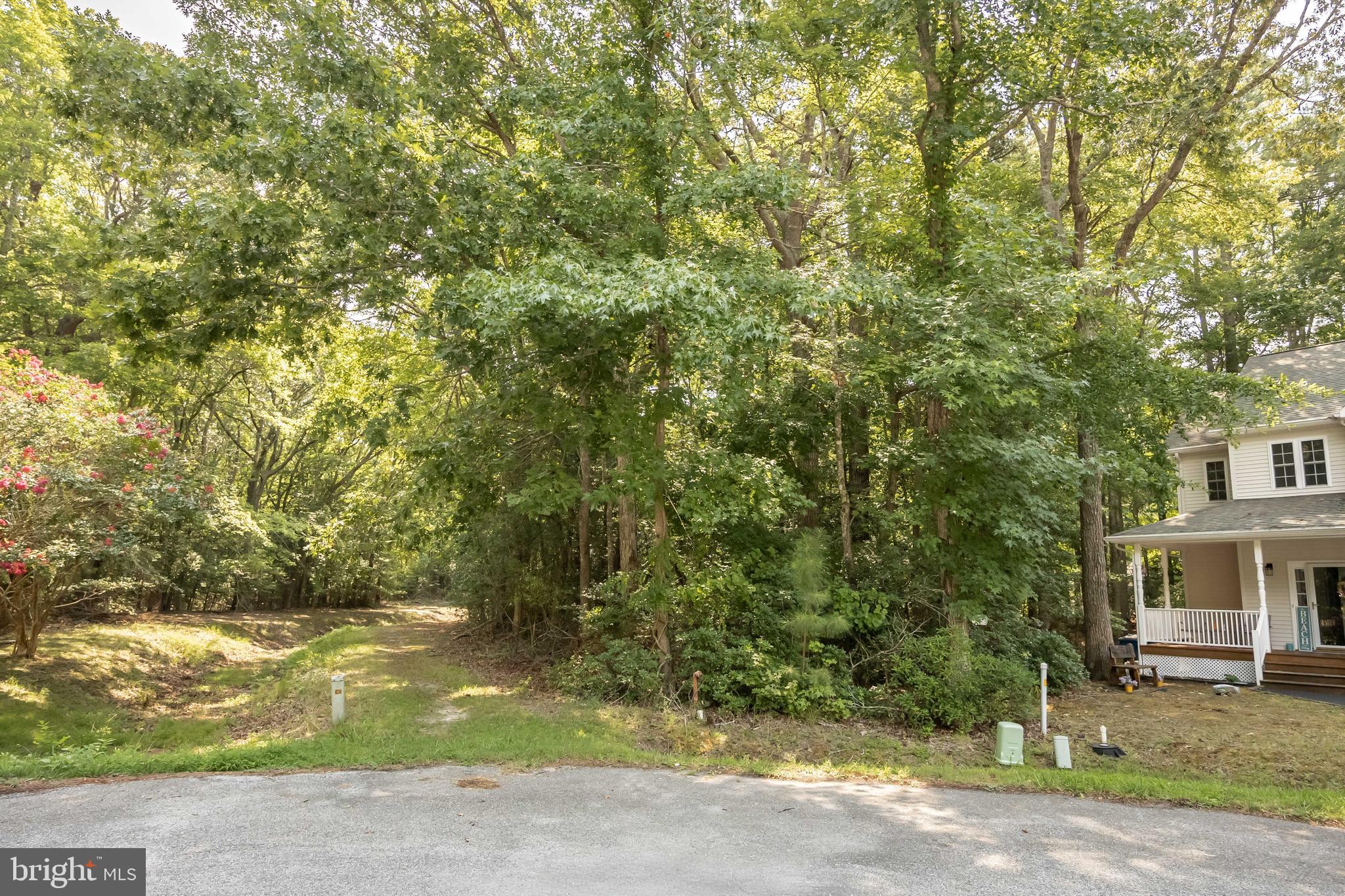 24 SASSAFRAS LANE