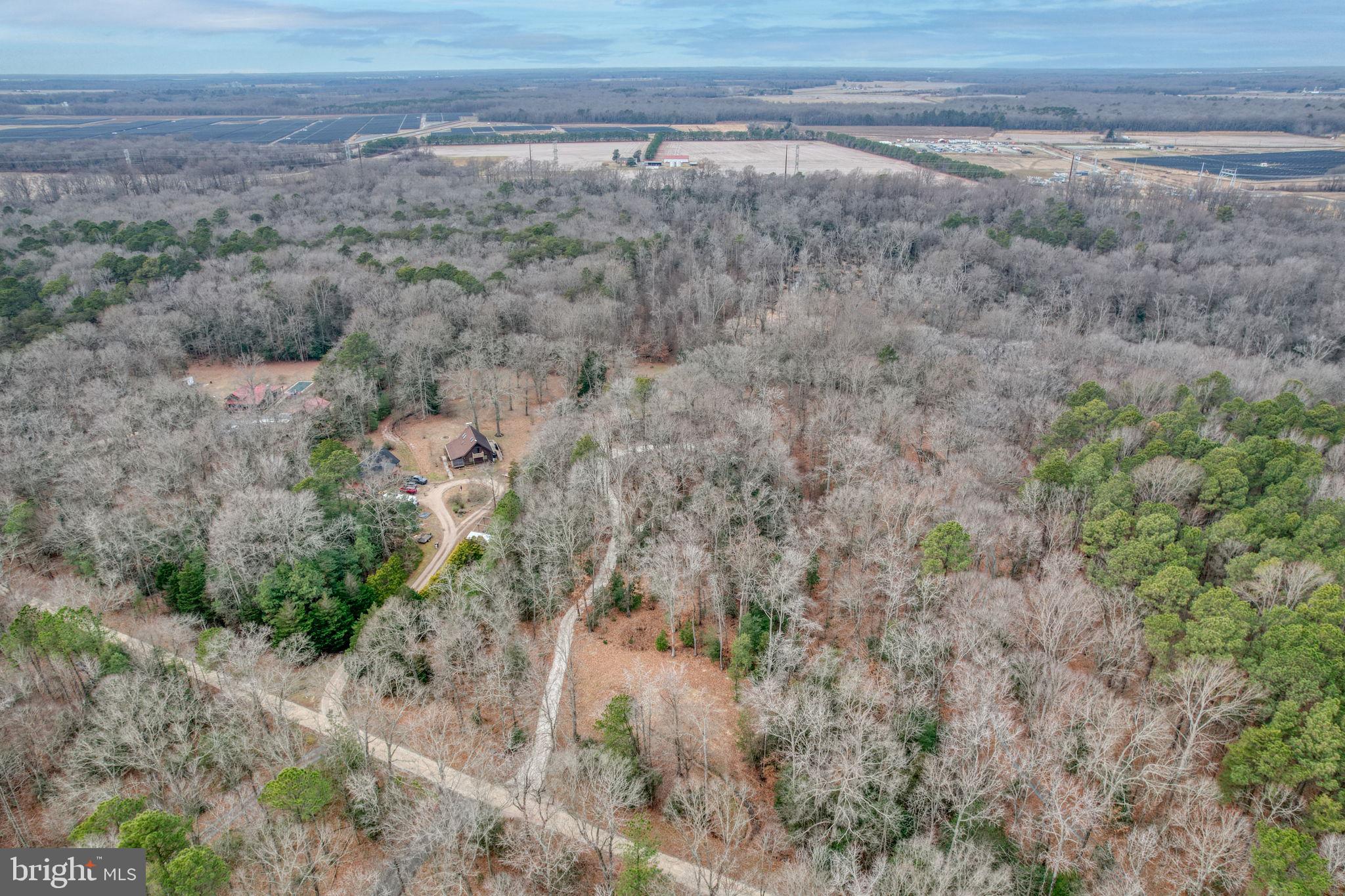 CHOPTANK PINES - Residential