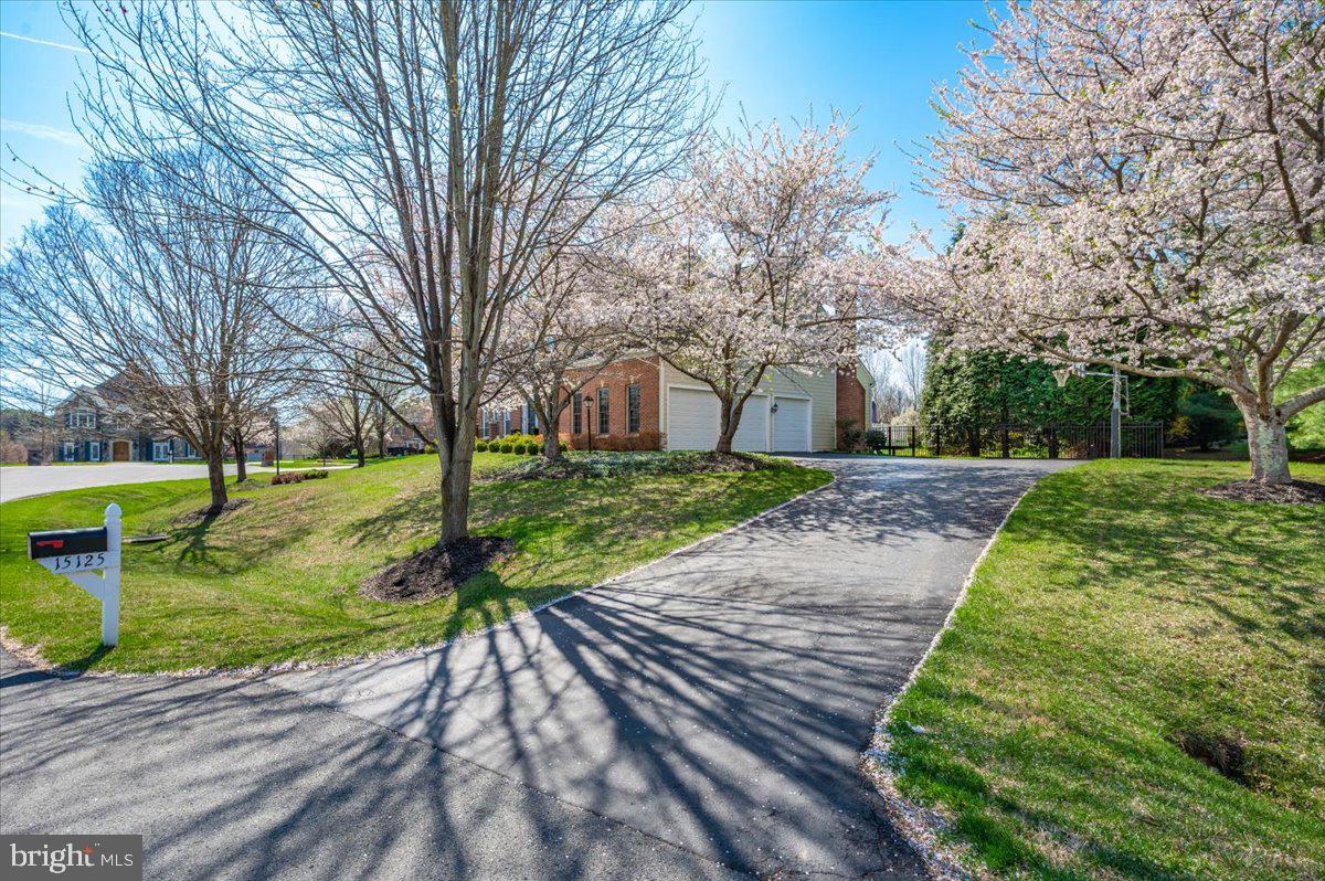 ROLLINMEAD - Residential