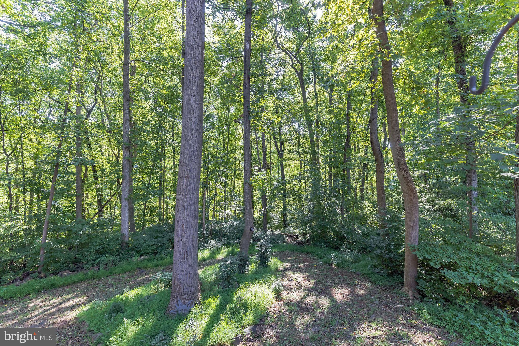 KINGS CONTRIVANCE - Residential