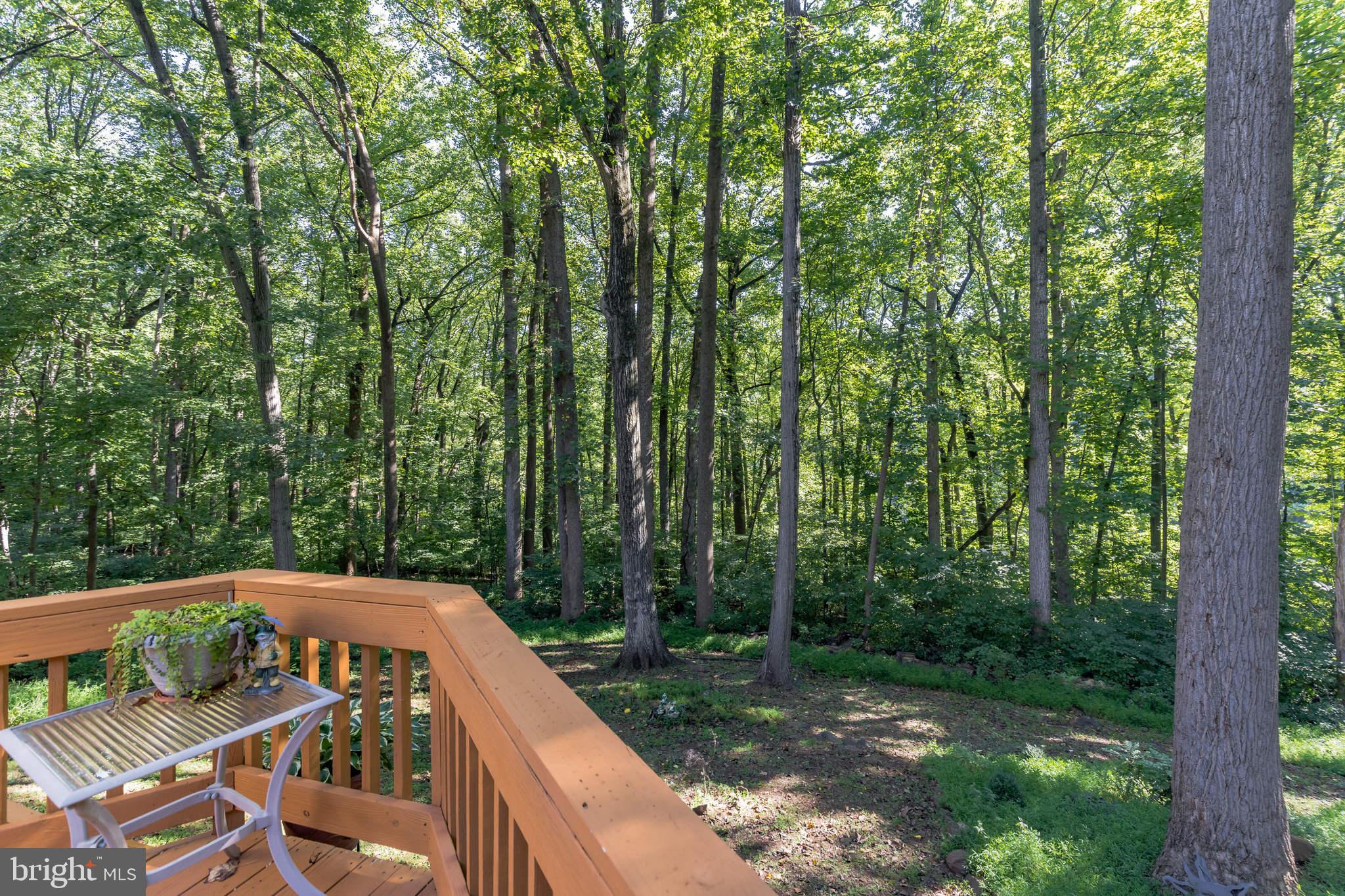 KINGS CONTRIVANCE - Residential