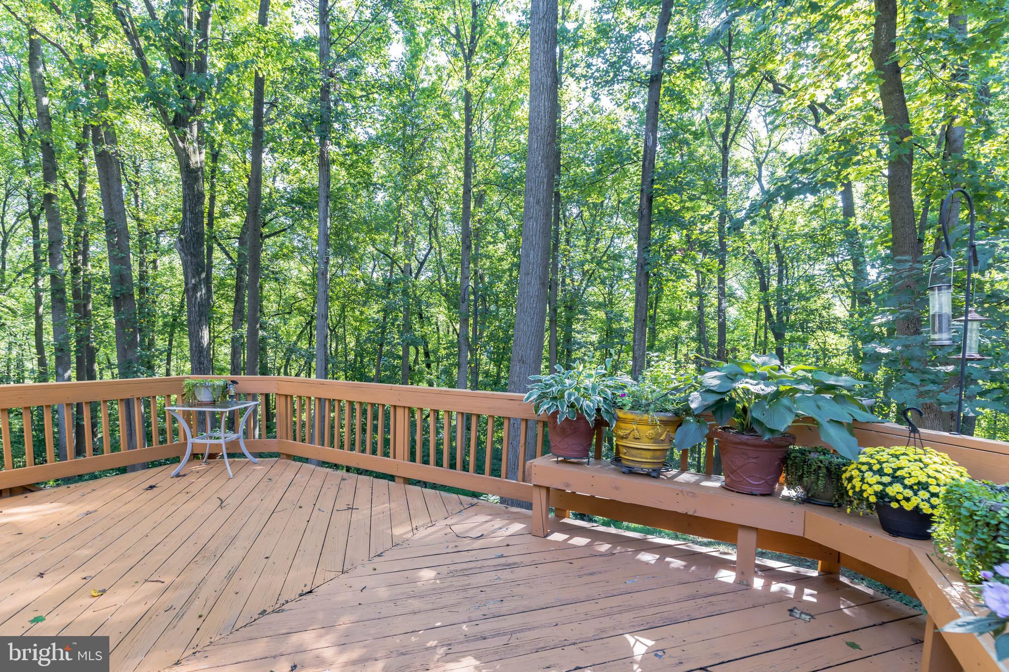 KINGS CONTRIVANCE - Residential