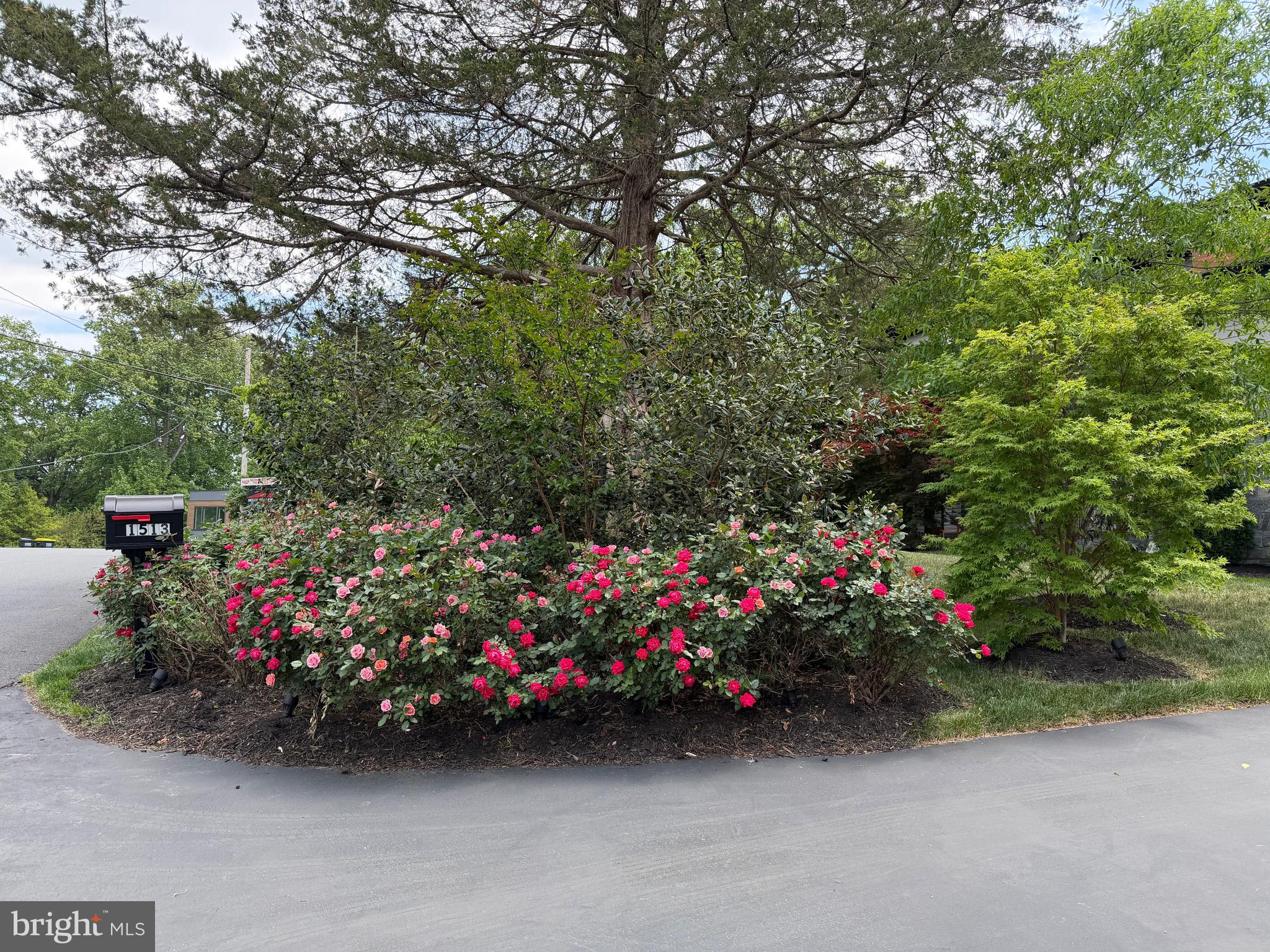 BROOKHAVEN - Residential
