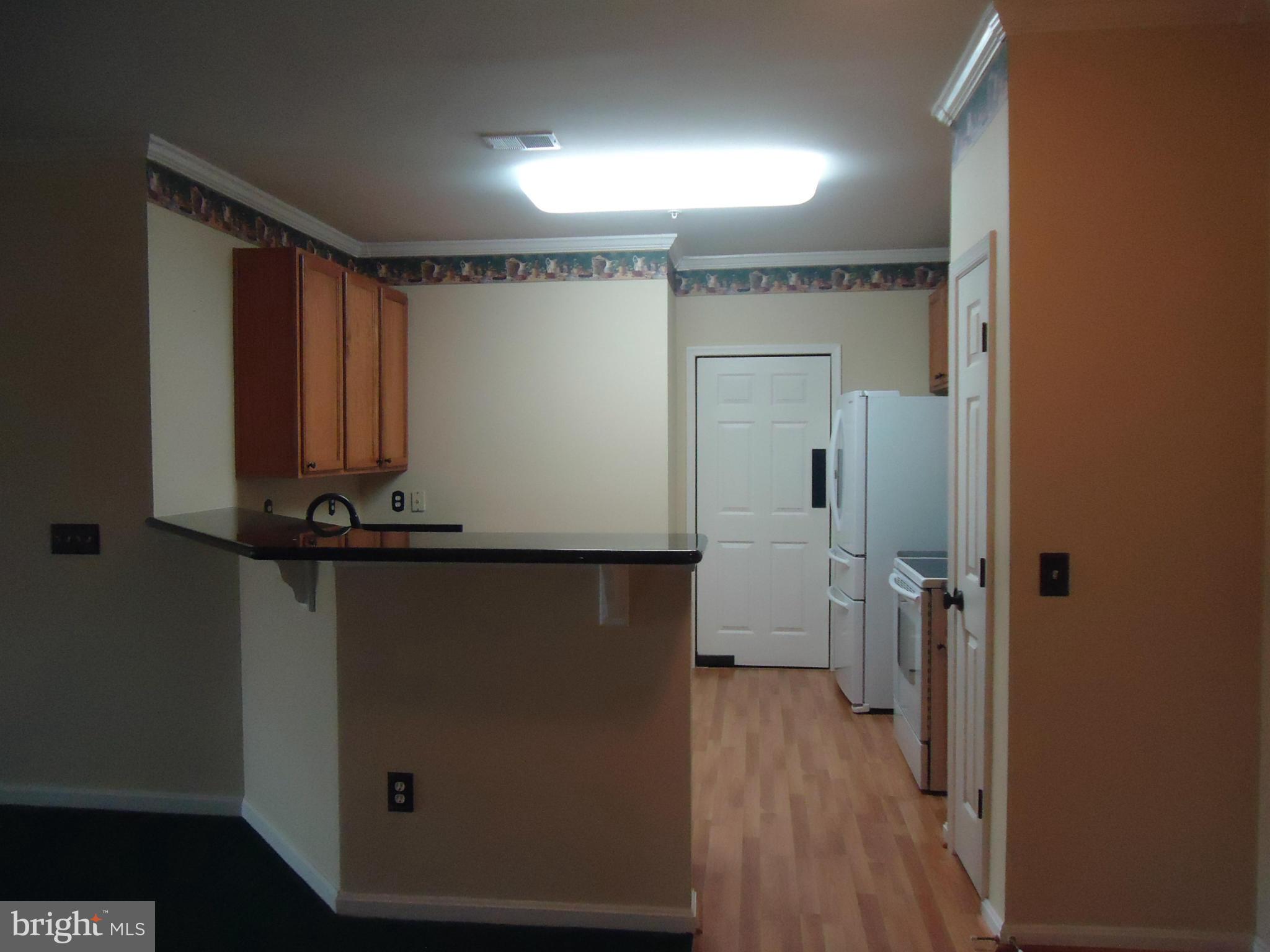 VILLAGE AT WAUGH CHAPEL - Residential