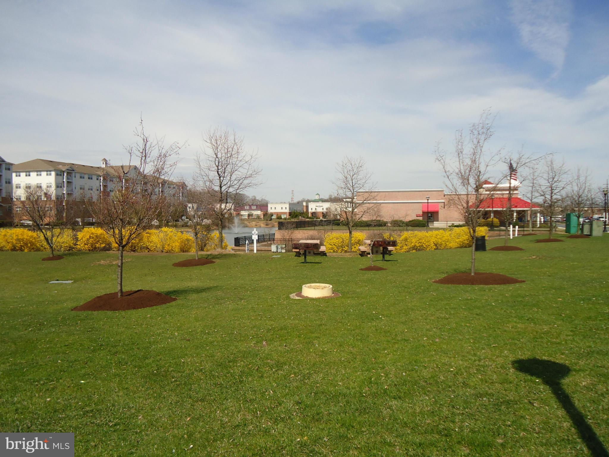 VILLAGE AT WAUGH CHAPEL - Residential