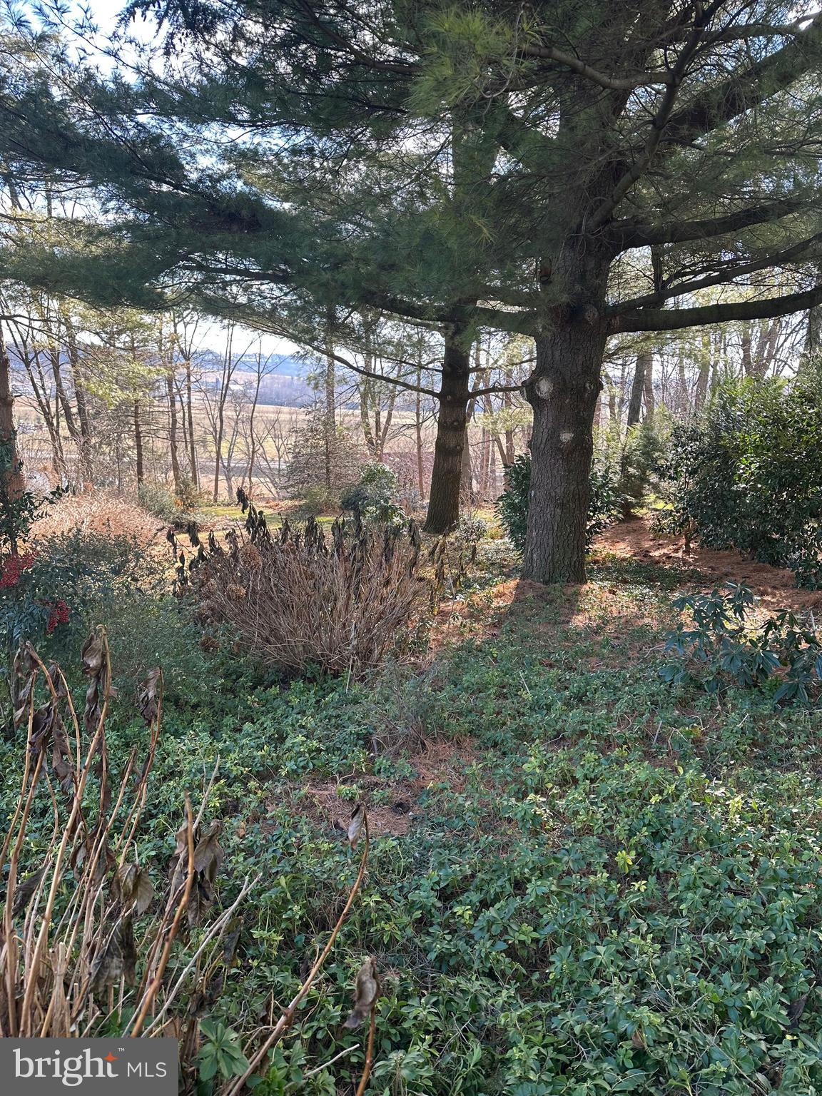 GEORGETOWN - Residential