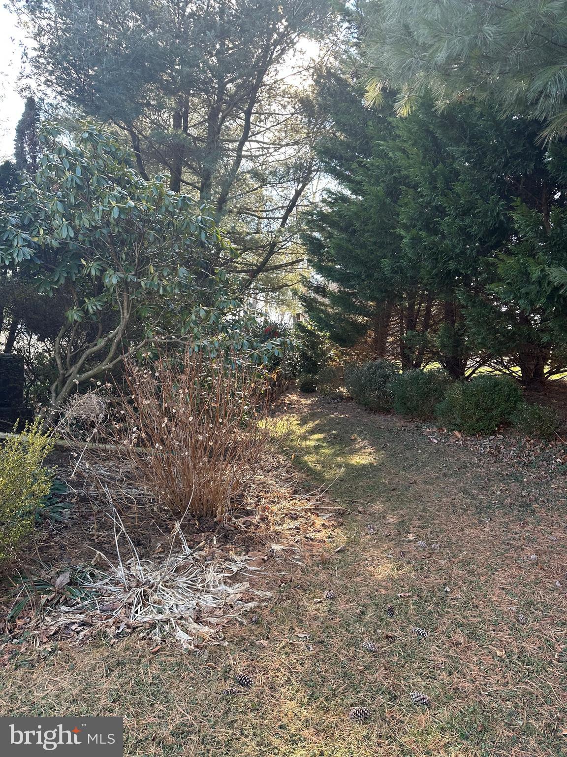 GEORGETOWN - Residential