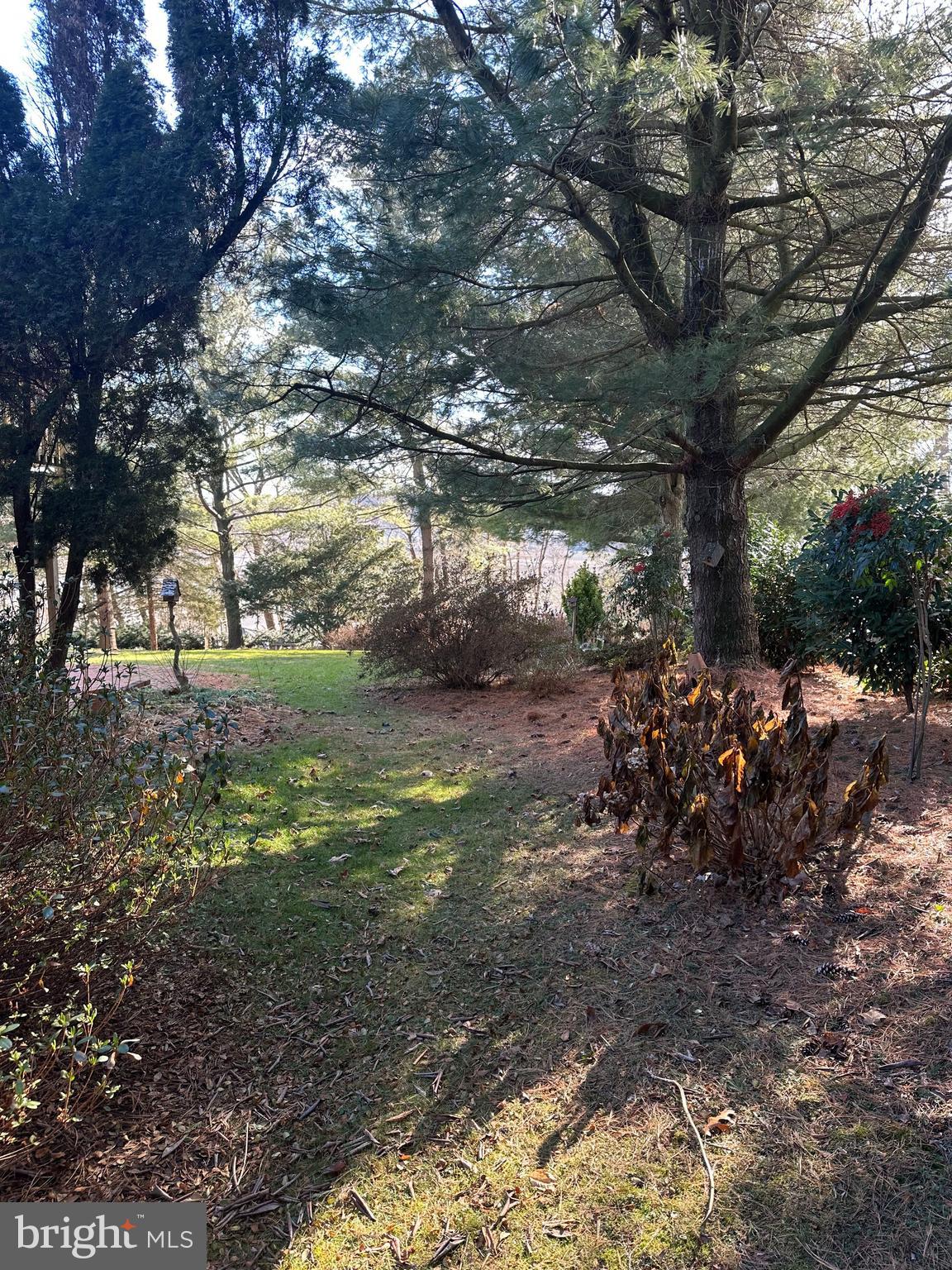 GEORGETOWN - Residential