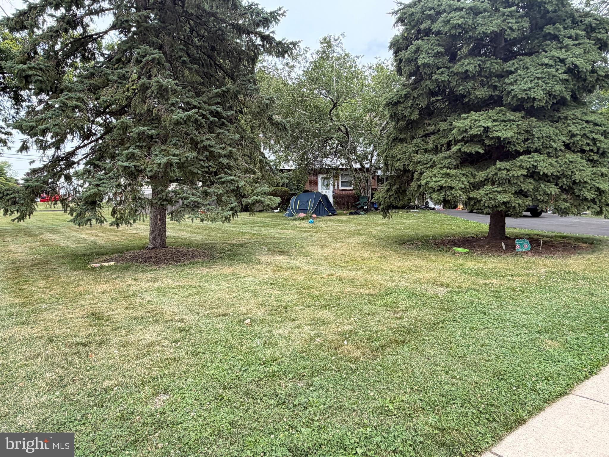 229 LUFF LANE