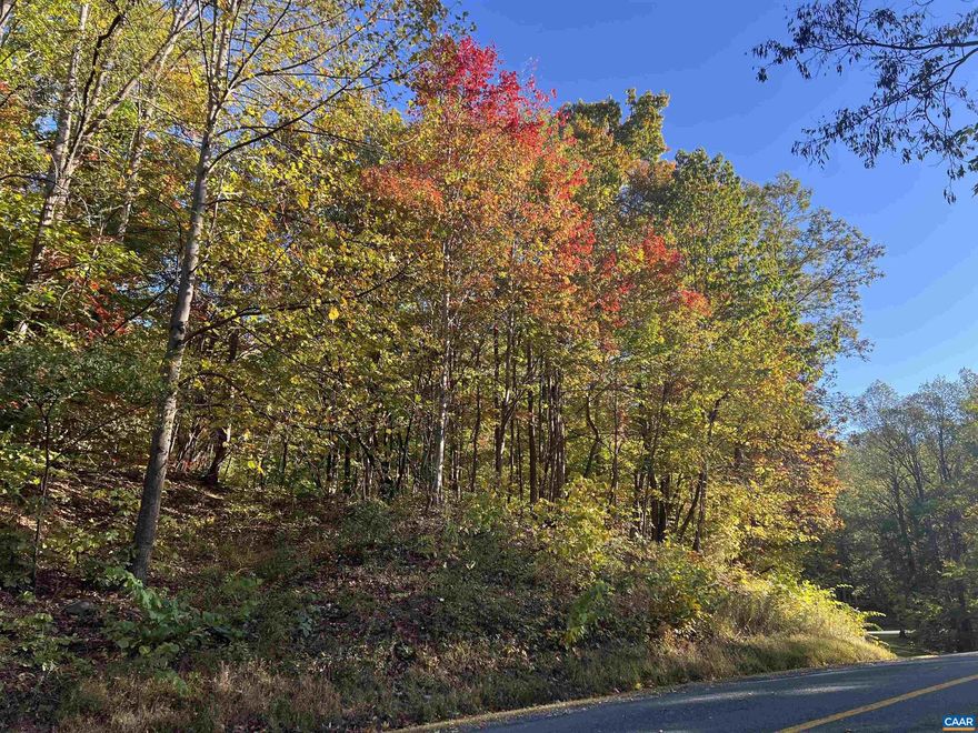 Build your mountain home on this fantastic high lot in Stoney Creek! Ask for the recent soil study for a 3 BR home. A driveway ramp has been cut in near the electric boxes. If looking at the house across the street, it's easy to see the view potential over the lower lot across Black Walnut Drive. It will be even clearer as more leaves fall from the trees!