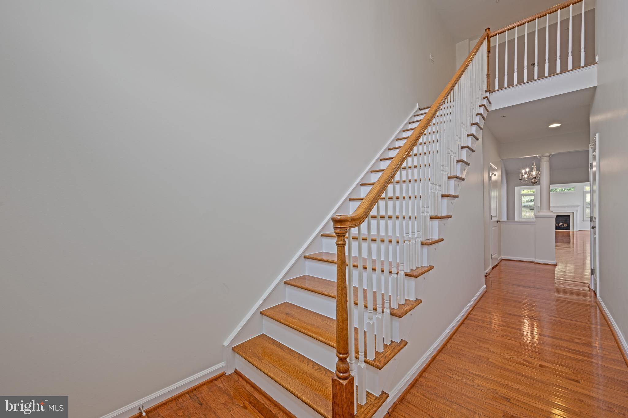 2342 ADAM DAVID WAY