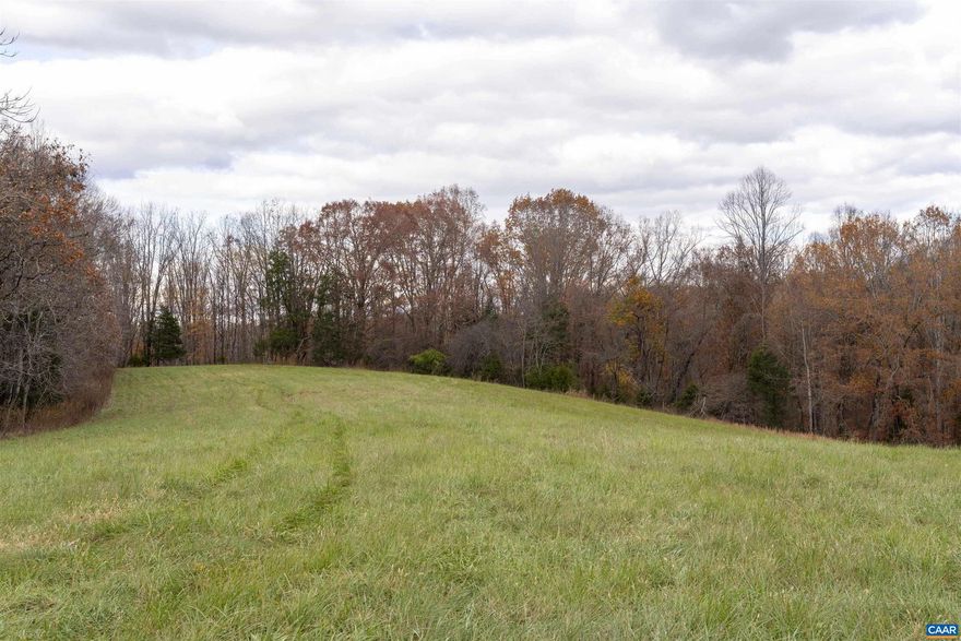 A remarkable Southern Albemarle parcel offering a level building site surrounded by rolling fields and hardwood forest.  Located down a quiet, country lane surrounded by large tracts.  Adjacent to the 66-acre Totier Creek Reservoir.