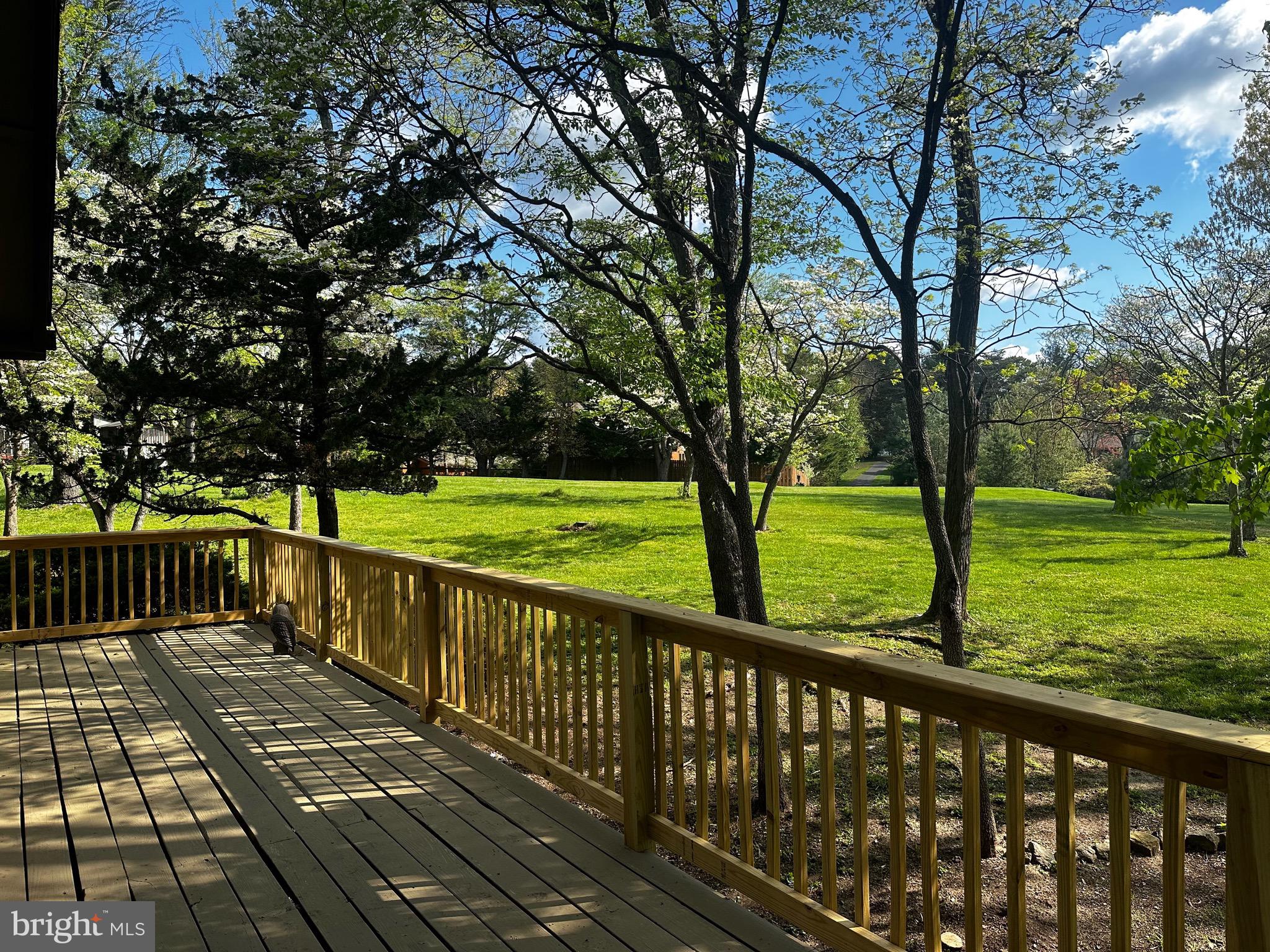 THE WOODS - Residential