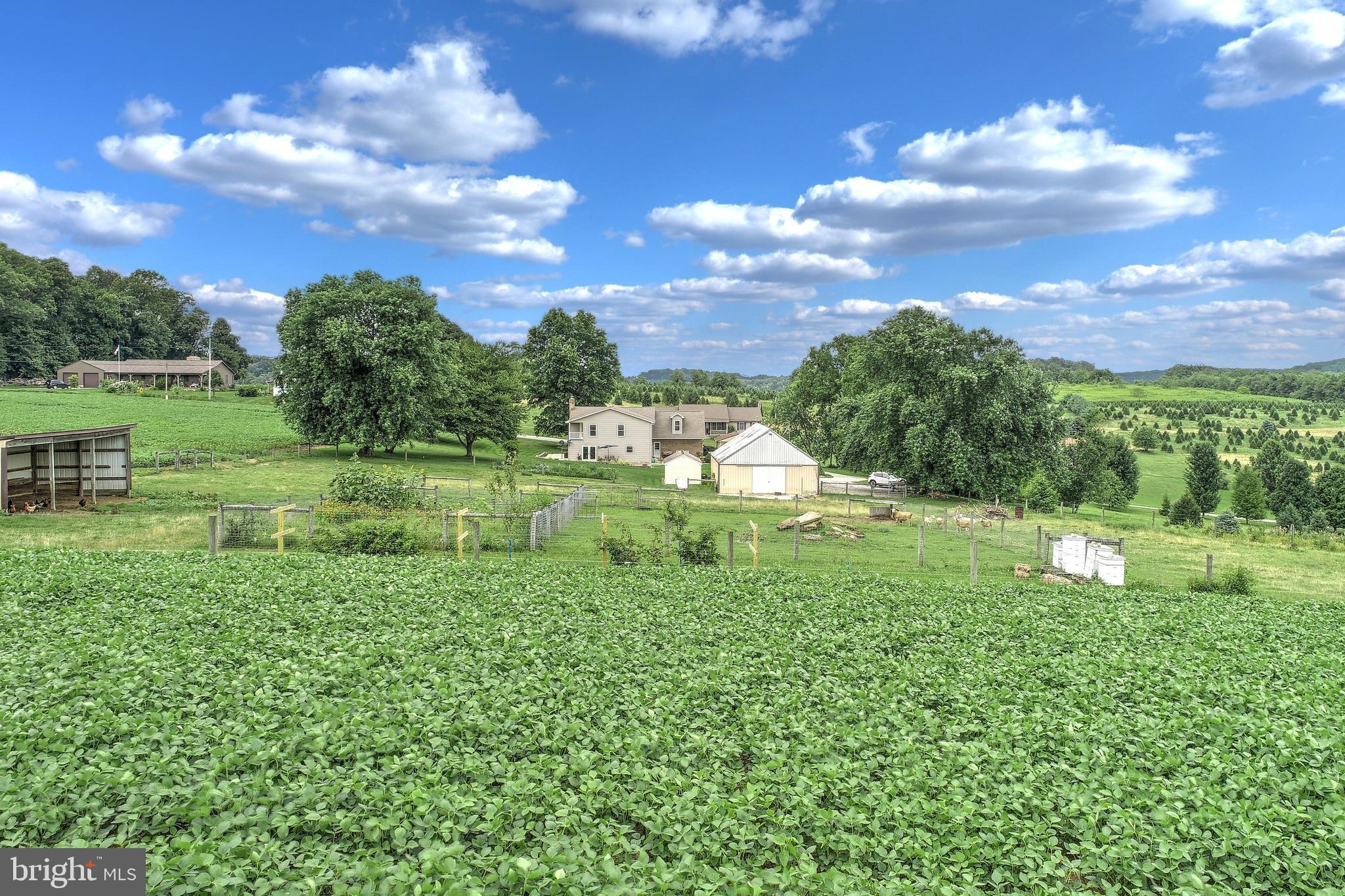 SHREWSBURY - Residential