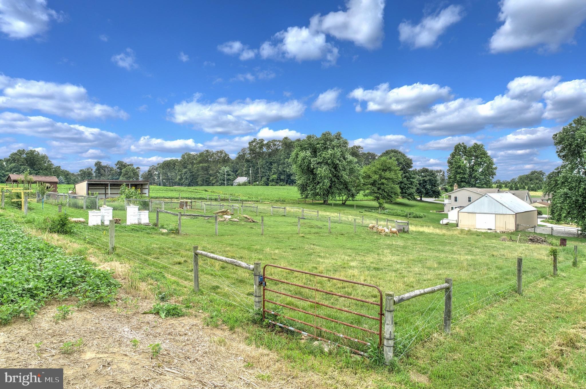 SHREWSBURY - Residential