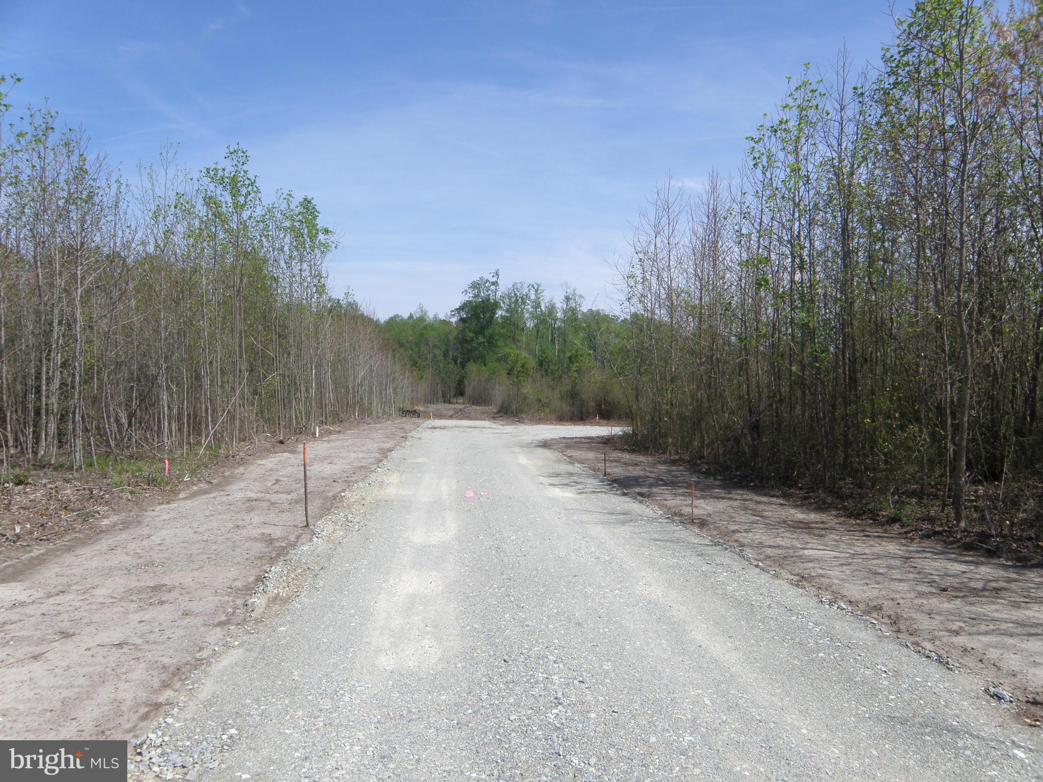 Lot C - 133-9.00-9.18 EASEMENT OFF OF SHORTLY RD