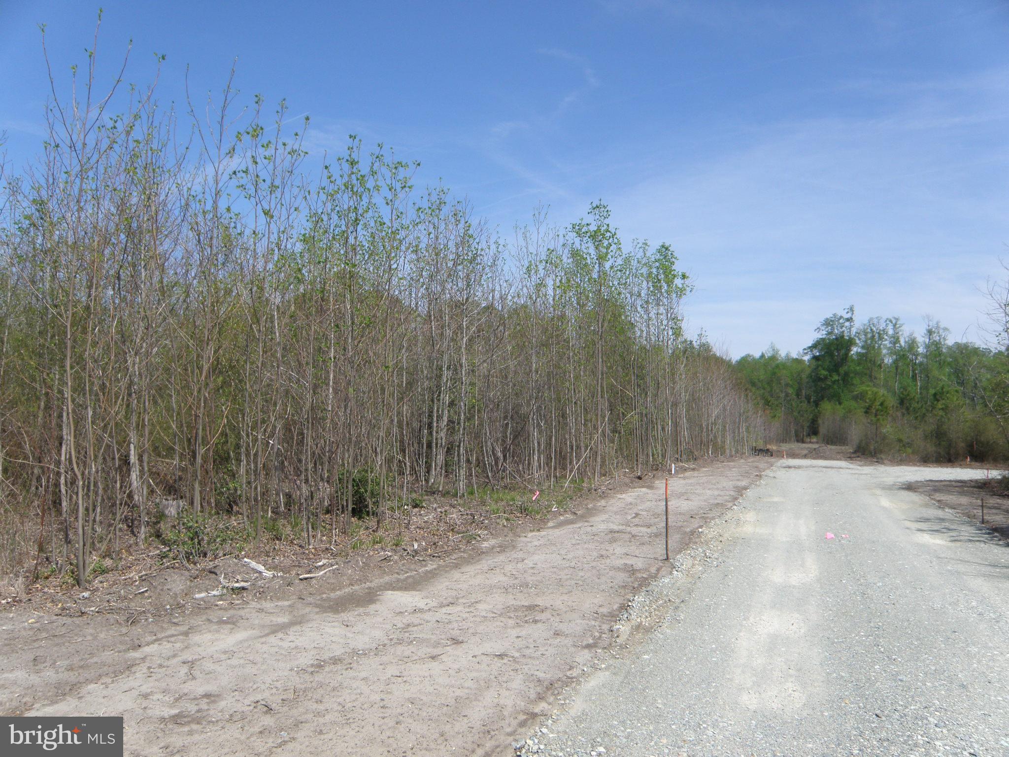 Lot C - 133-9.00-9.18 EASEMENT OFF OF SHORTLY RD