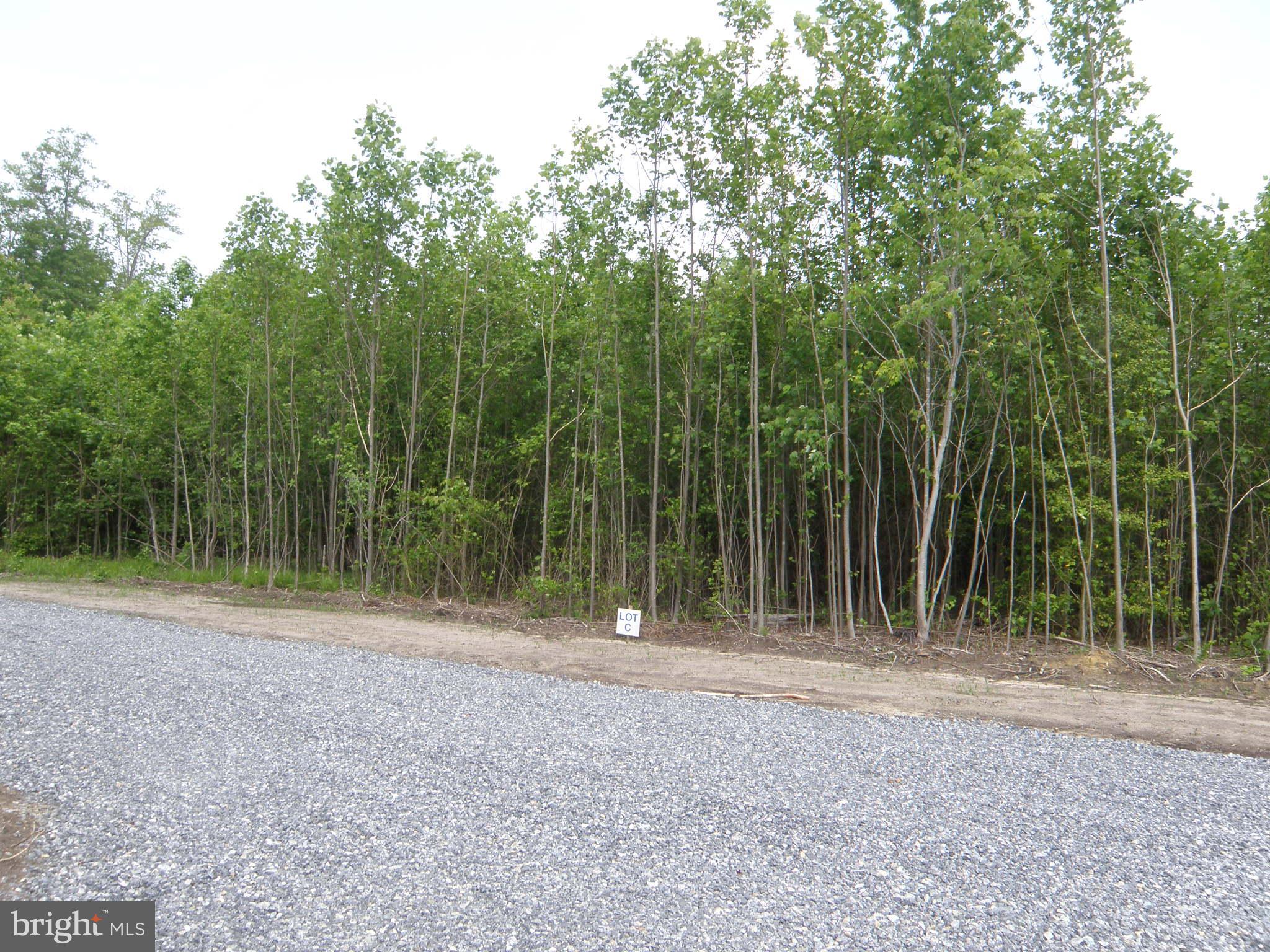 Lot C - 133-9.00-9.18 EASEMENT OFF OF SHORTLY RD