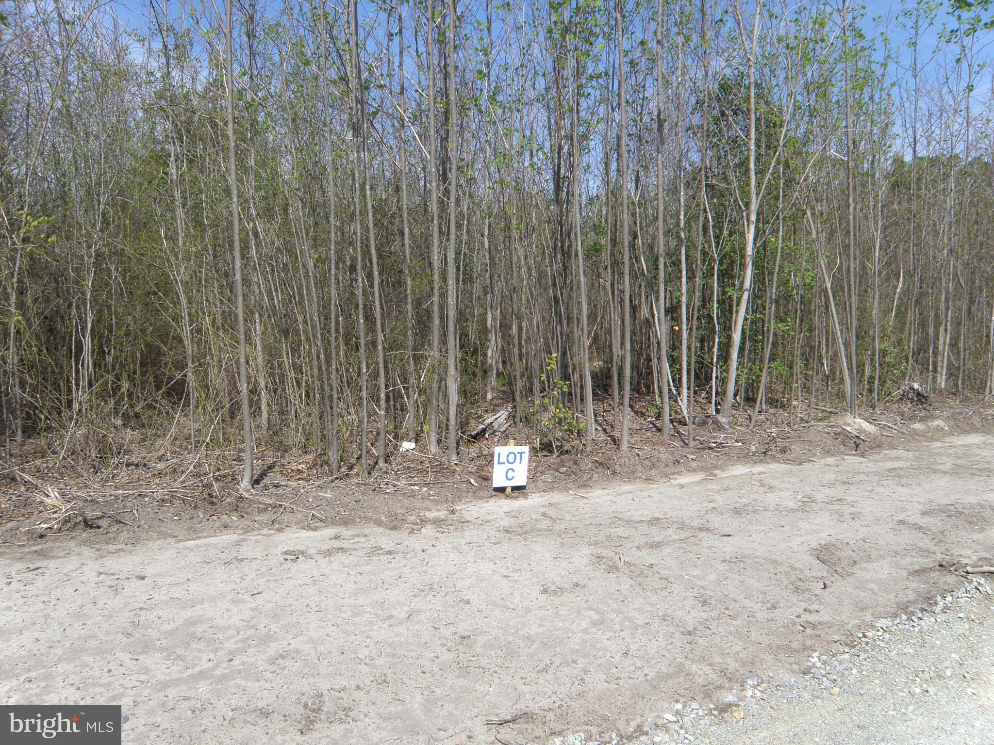 Lot C - 133-9.00-9.18 EASEMENT OFF OF SHORTLY RD