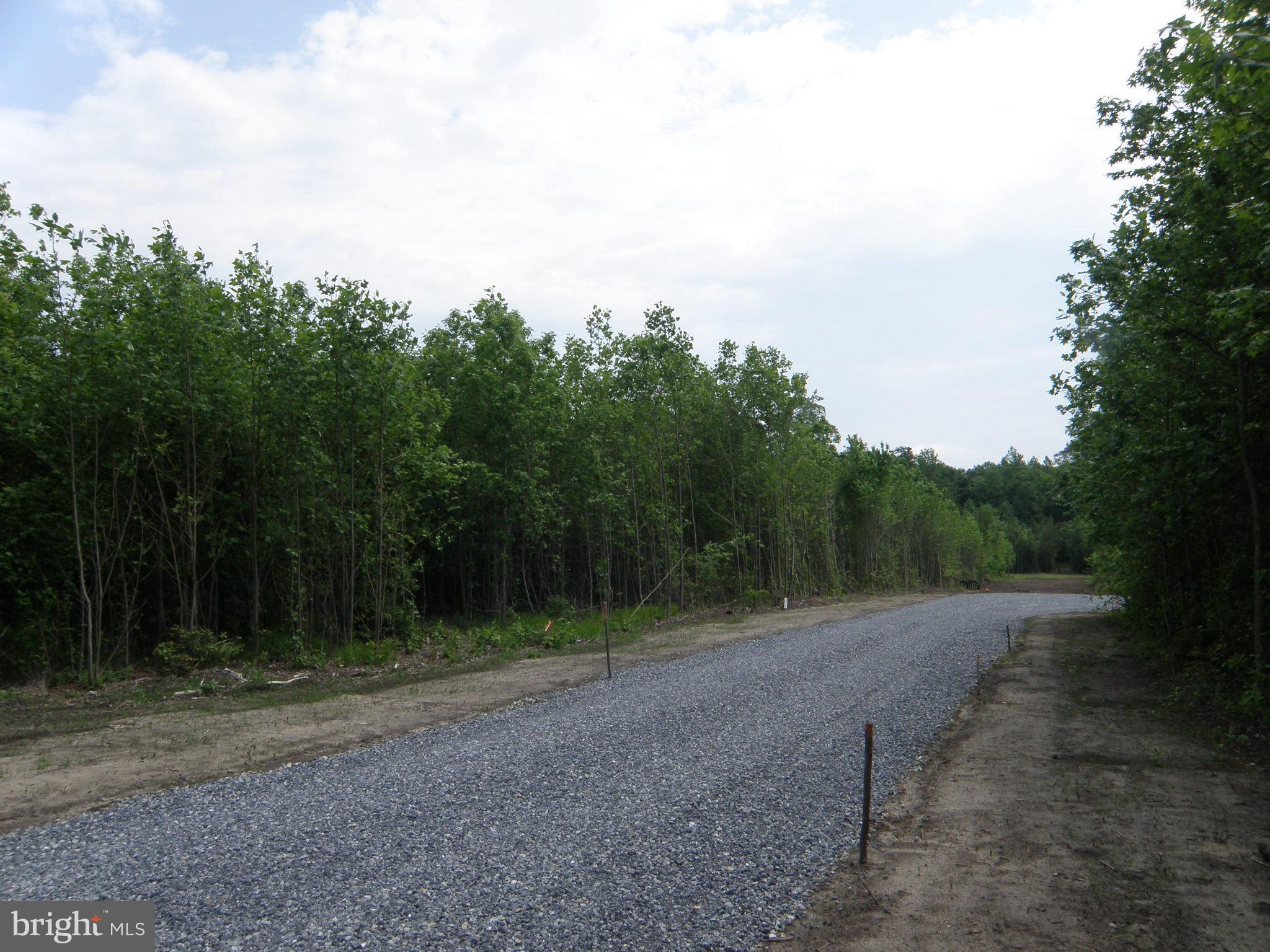 Lot C - 133-9.00-9.18 EASEMENT OFF OF SHORTLY RD